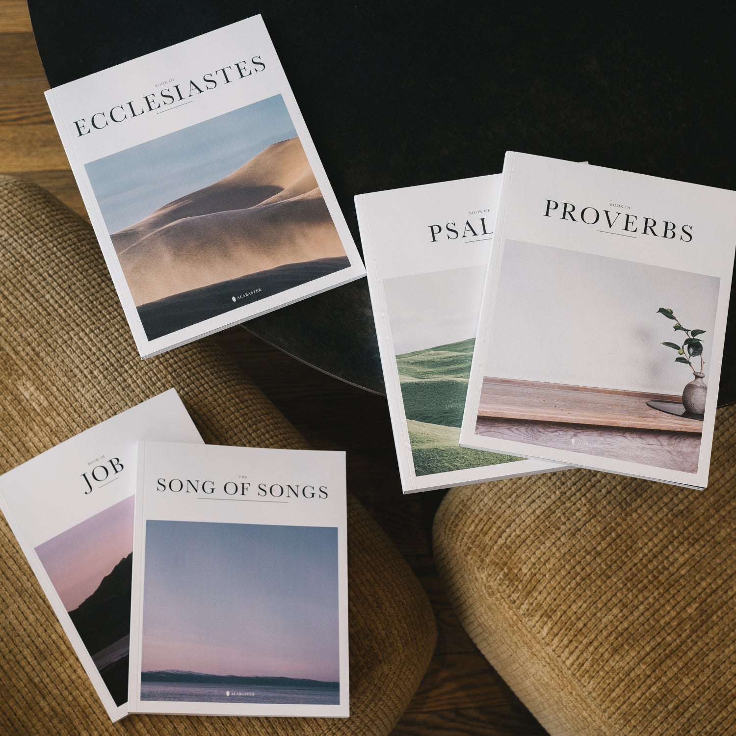 5 Best Bibles for New Believers