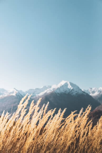 Psalms for Protection