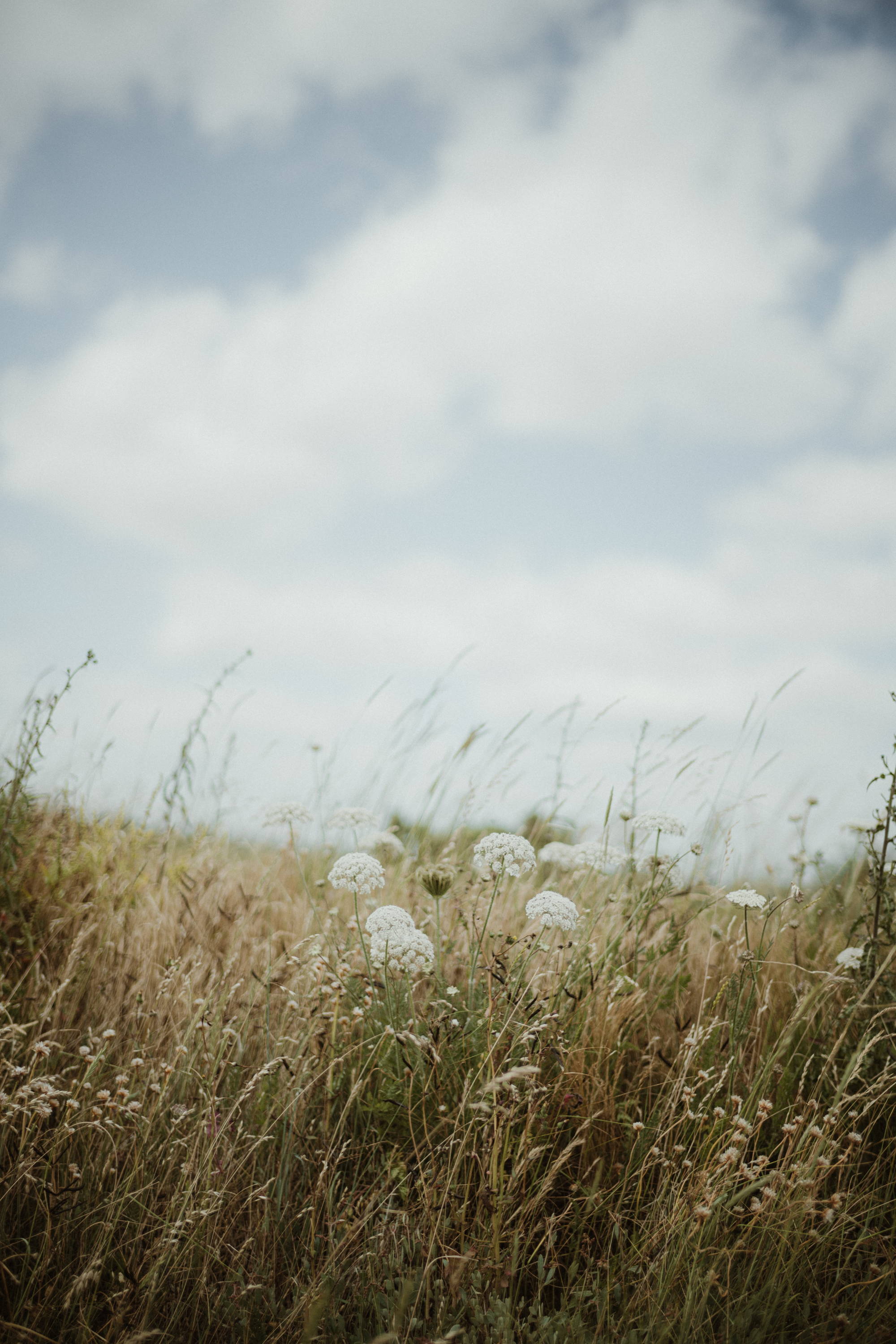 Contemplating Fellowship with God