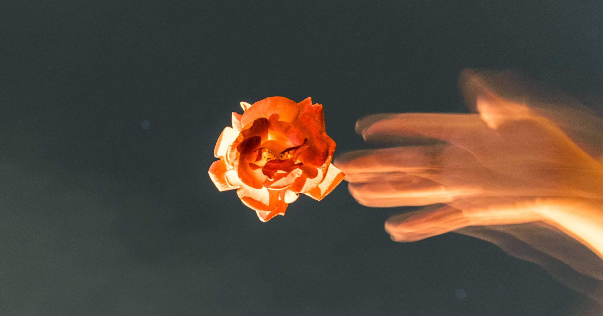 Recovering The Garden Experience In Our Creative Calling