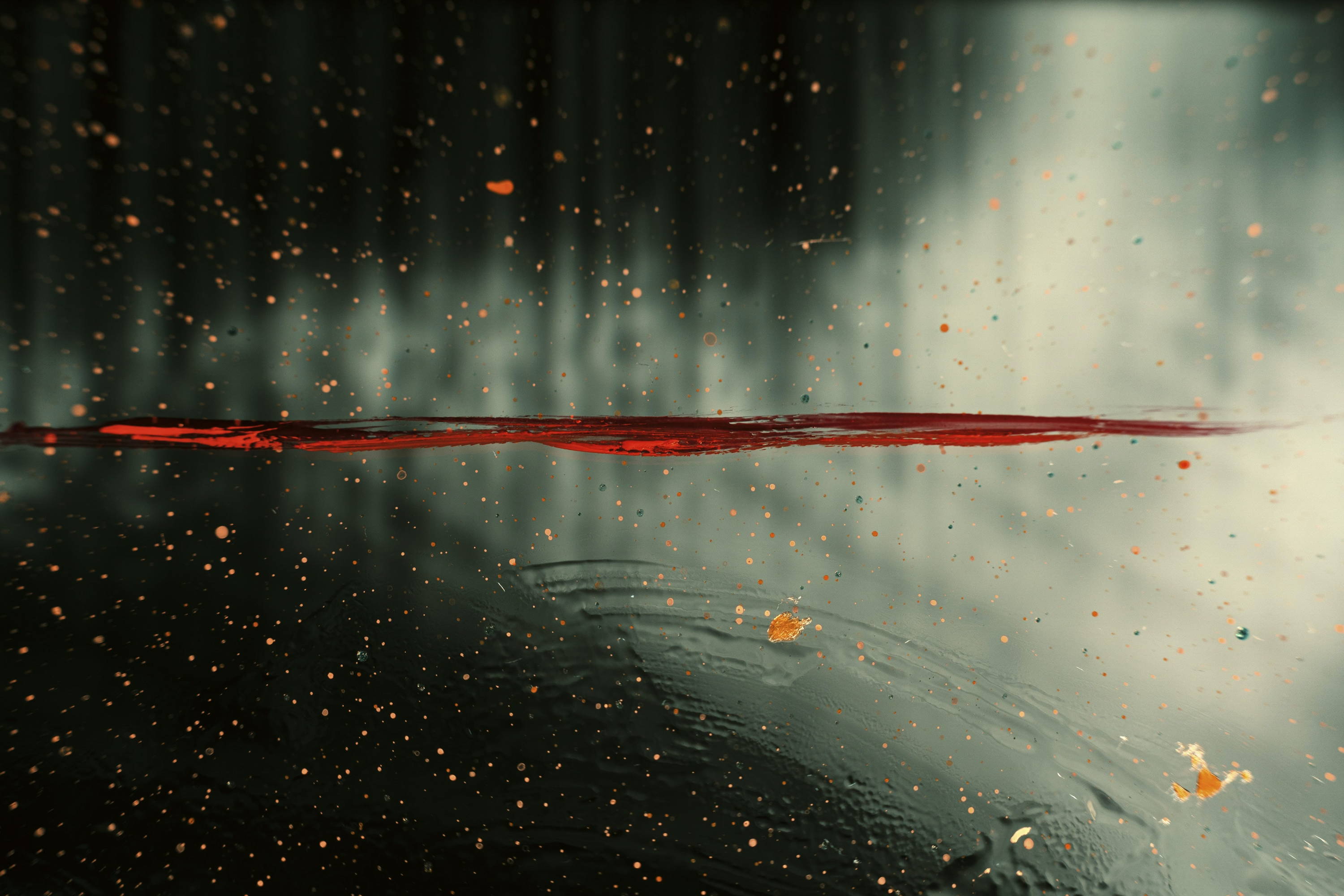 On Lectio Divina | Attuning Ourselves to God’s Wisdom