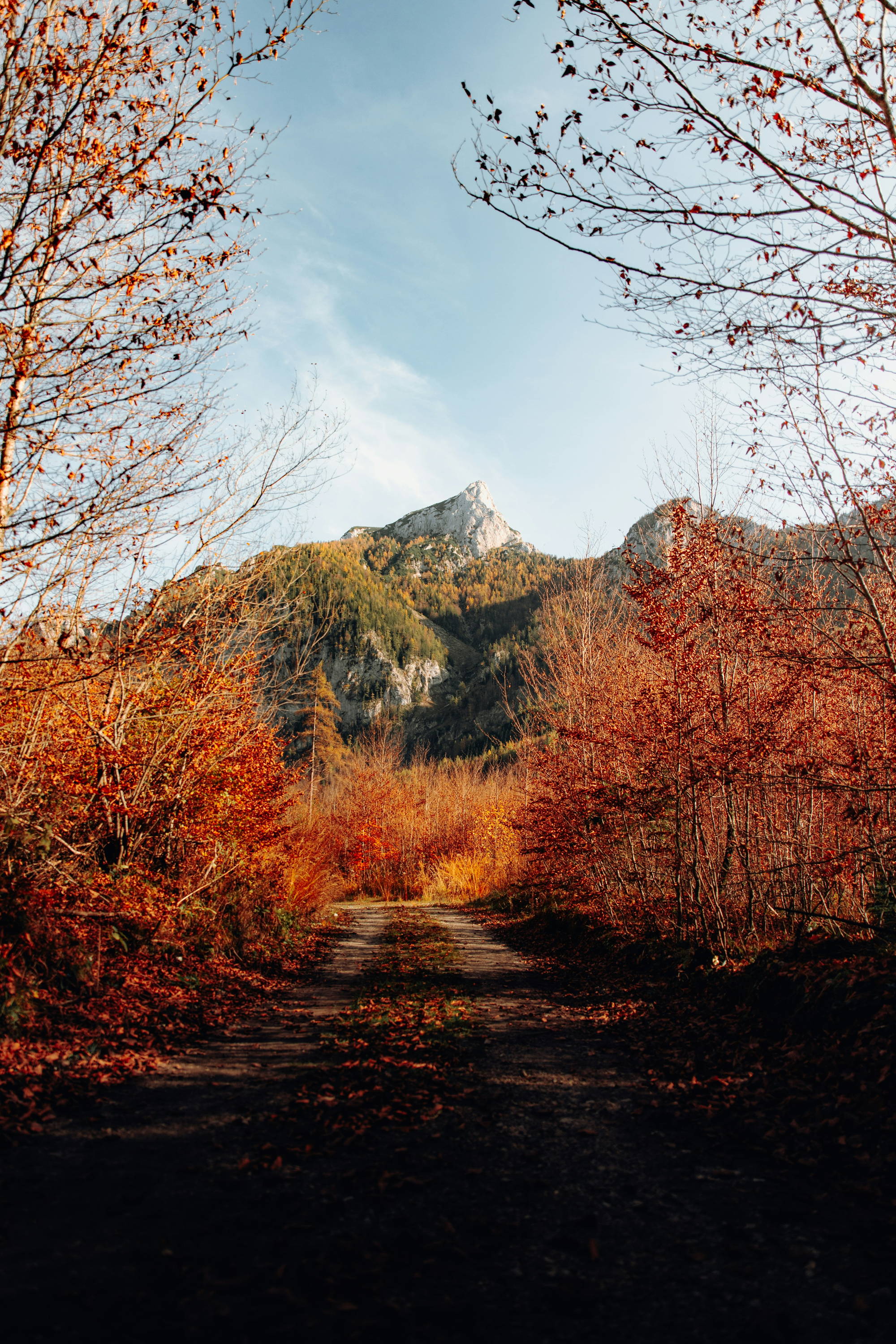 Gratitude in Grit
