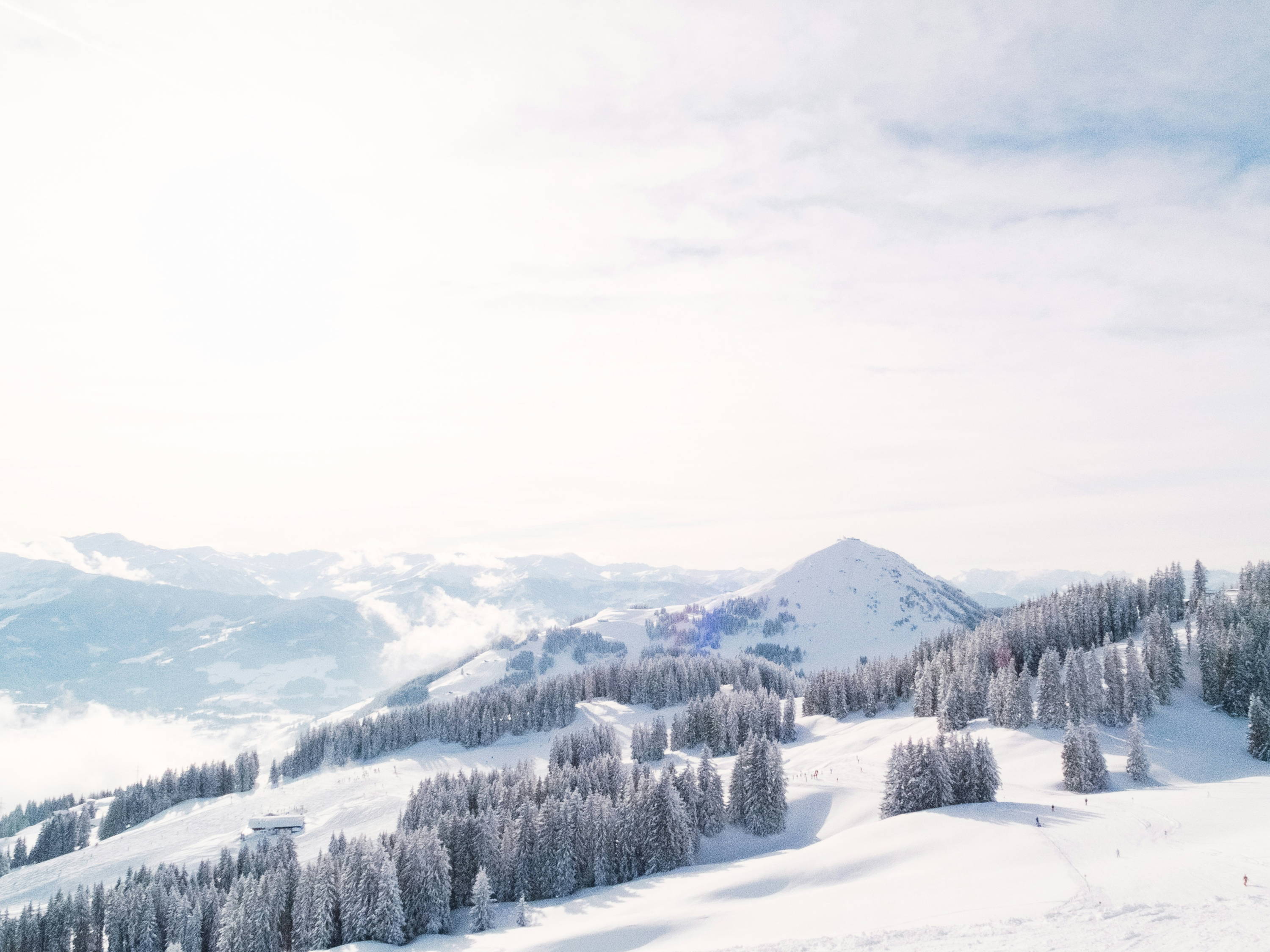 Advent Week 4: Prince of Peace