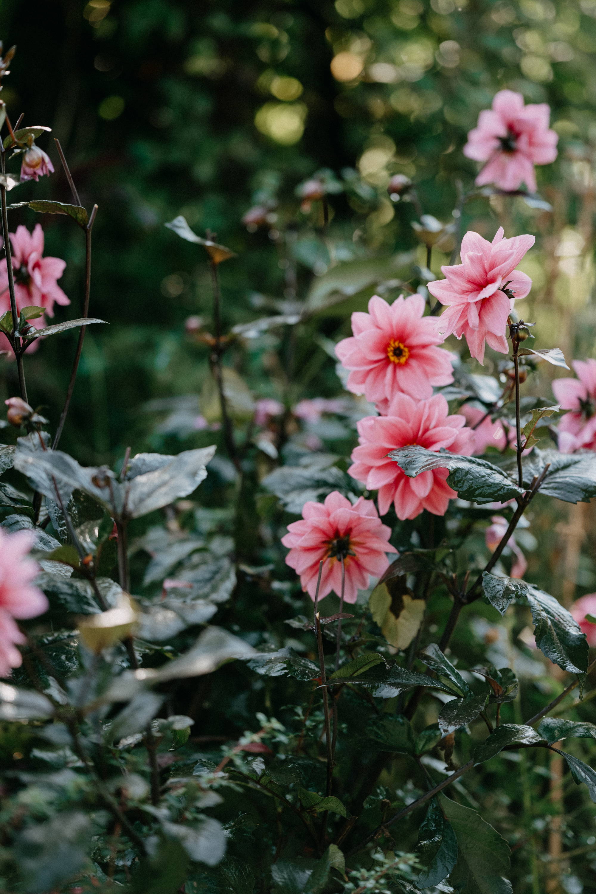 Discovering True Love