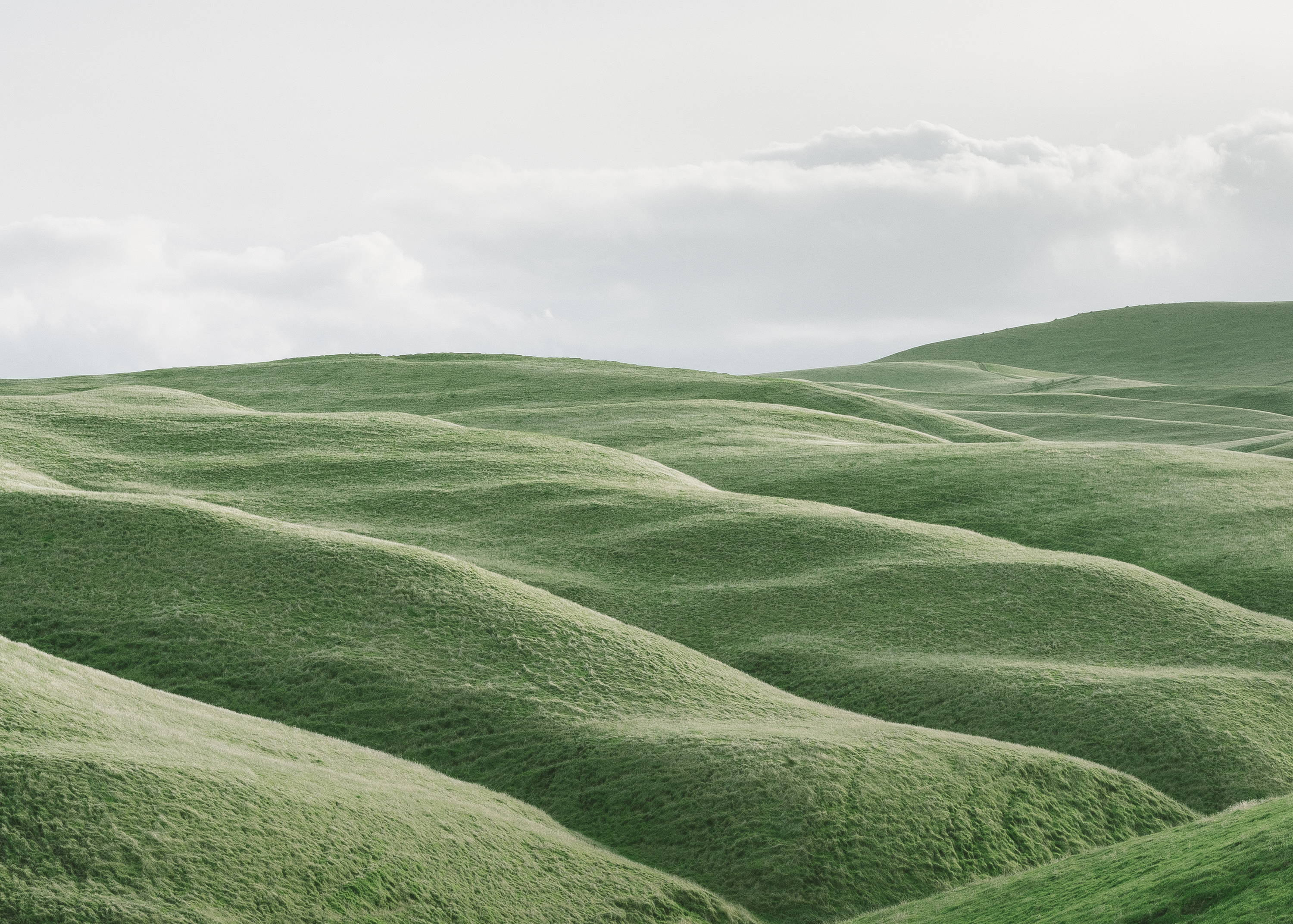 Letting the Psalms Shape Our Spirituality