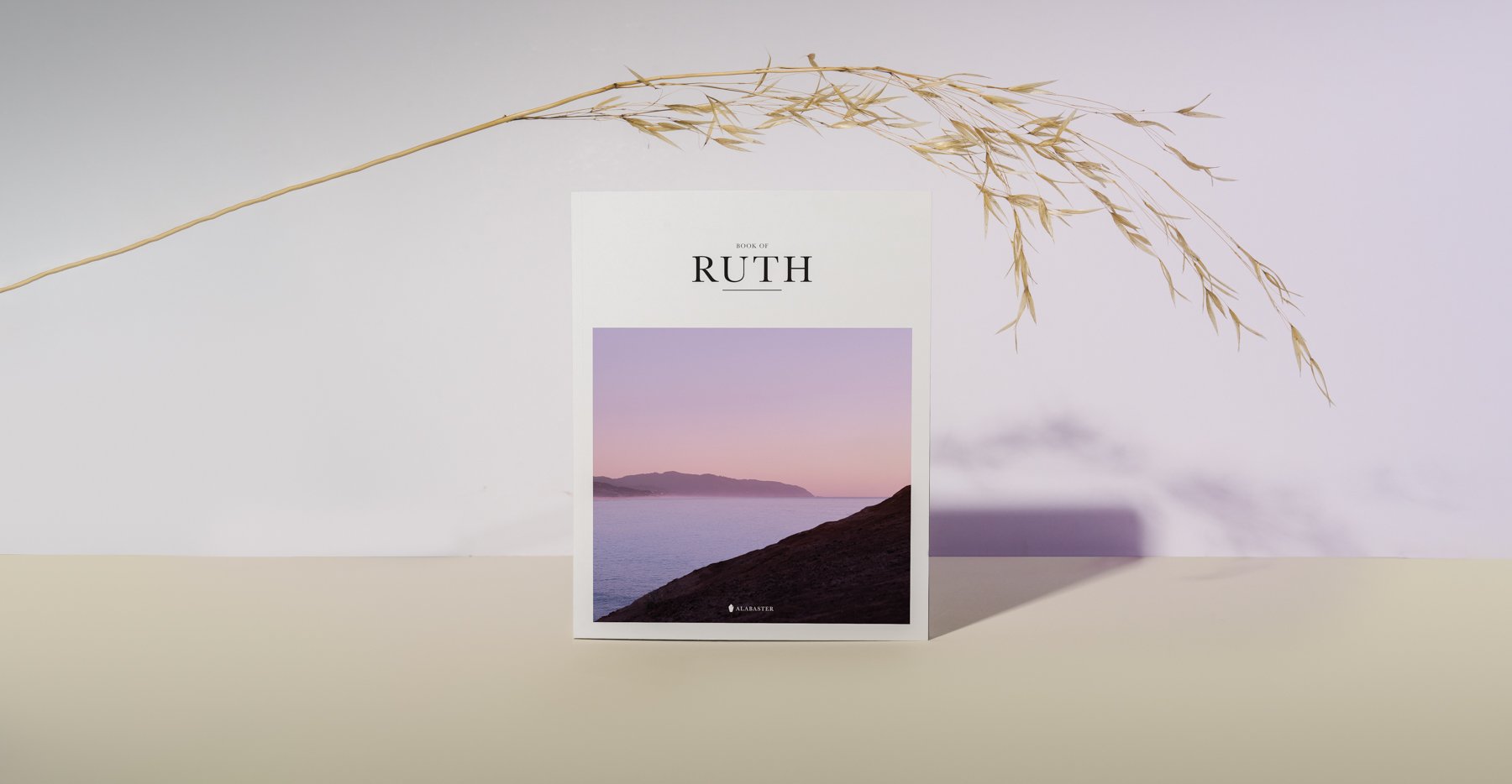 Book of Ruth softcover