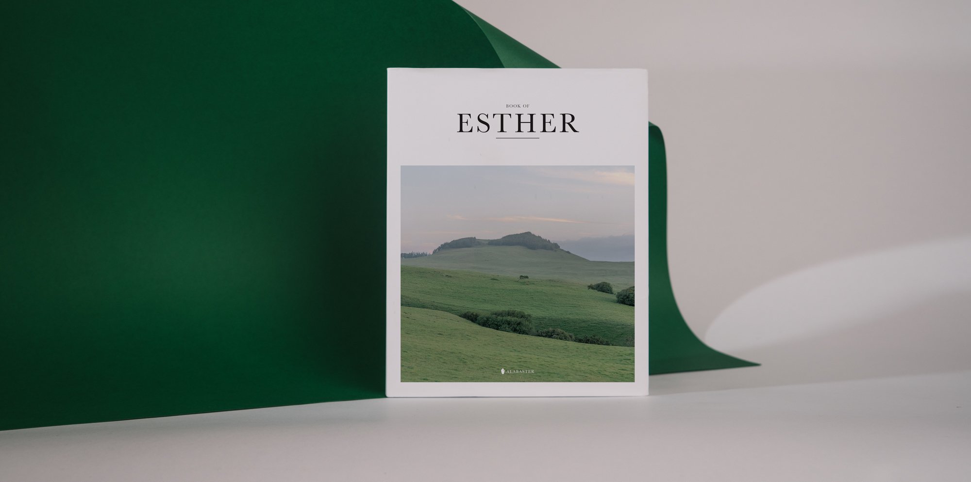 The Book of Esther softcover