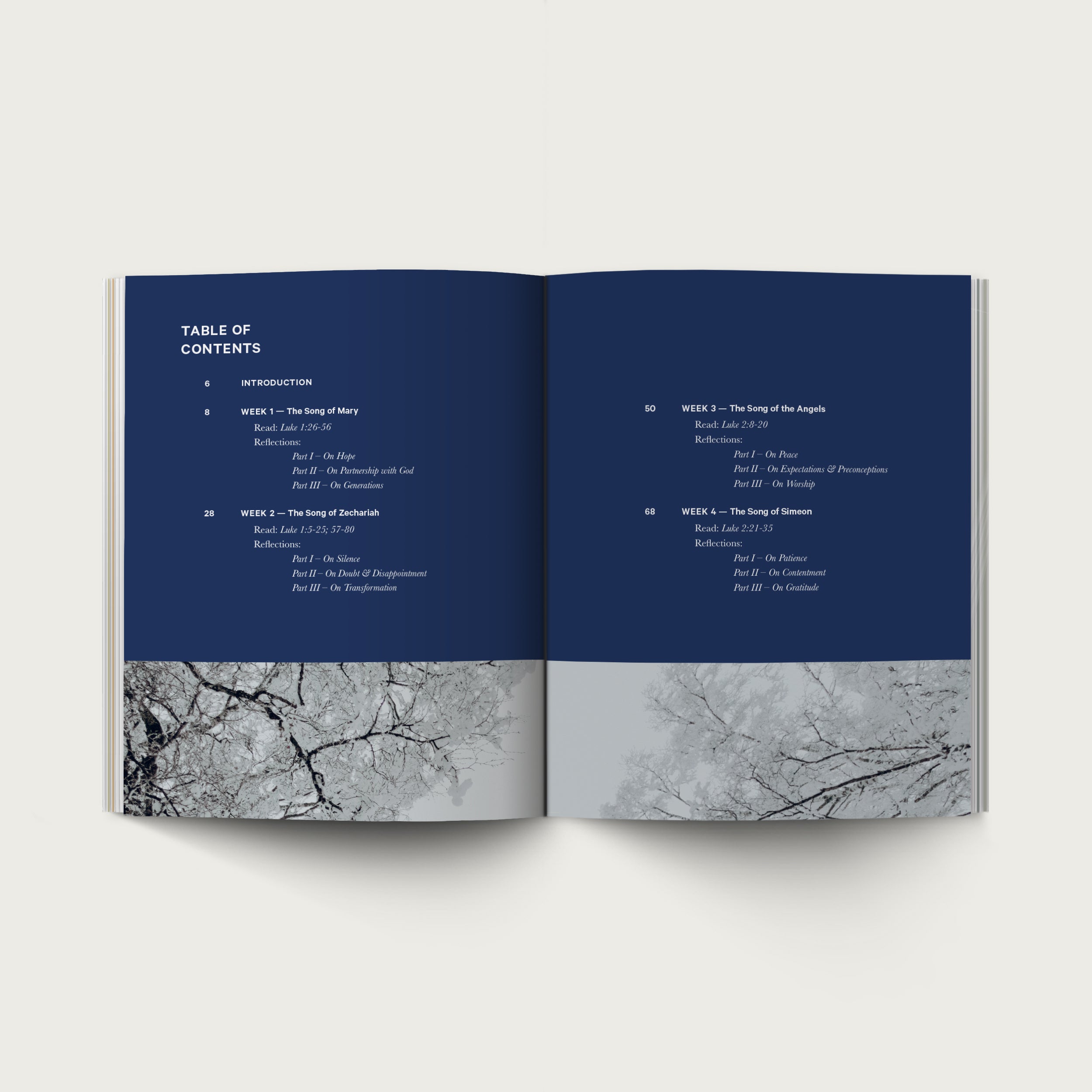 The Advent Devotional