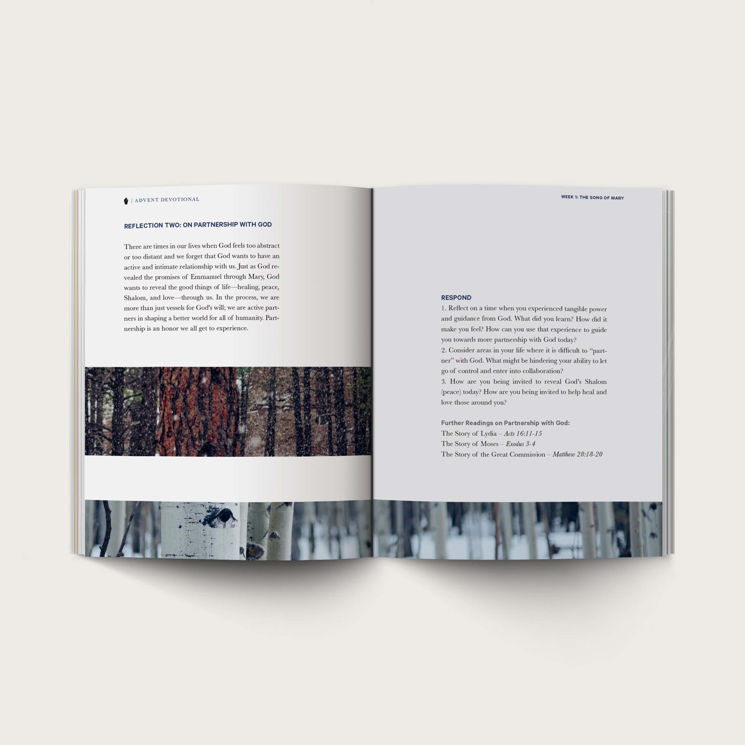 The Advent Devotional