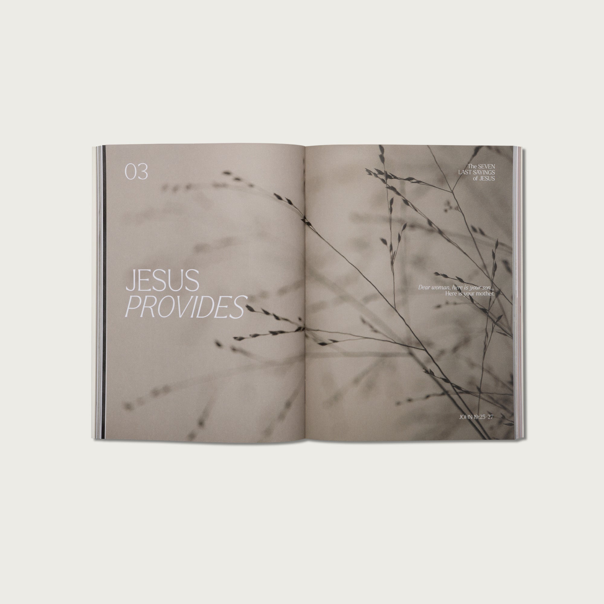 The 7 Last Sayings of Jesus: A 40-Day Bible Devotional for Journeying to the Cross