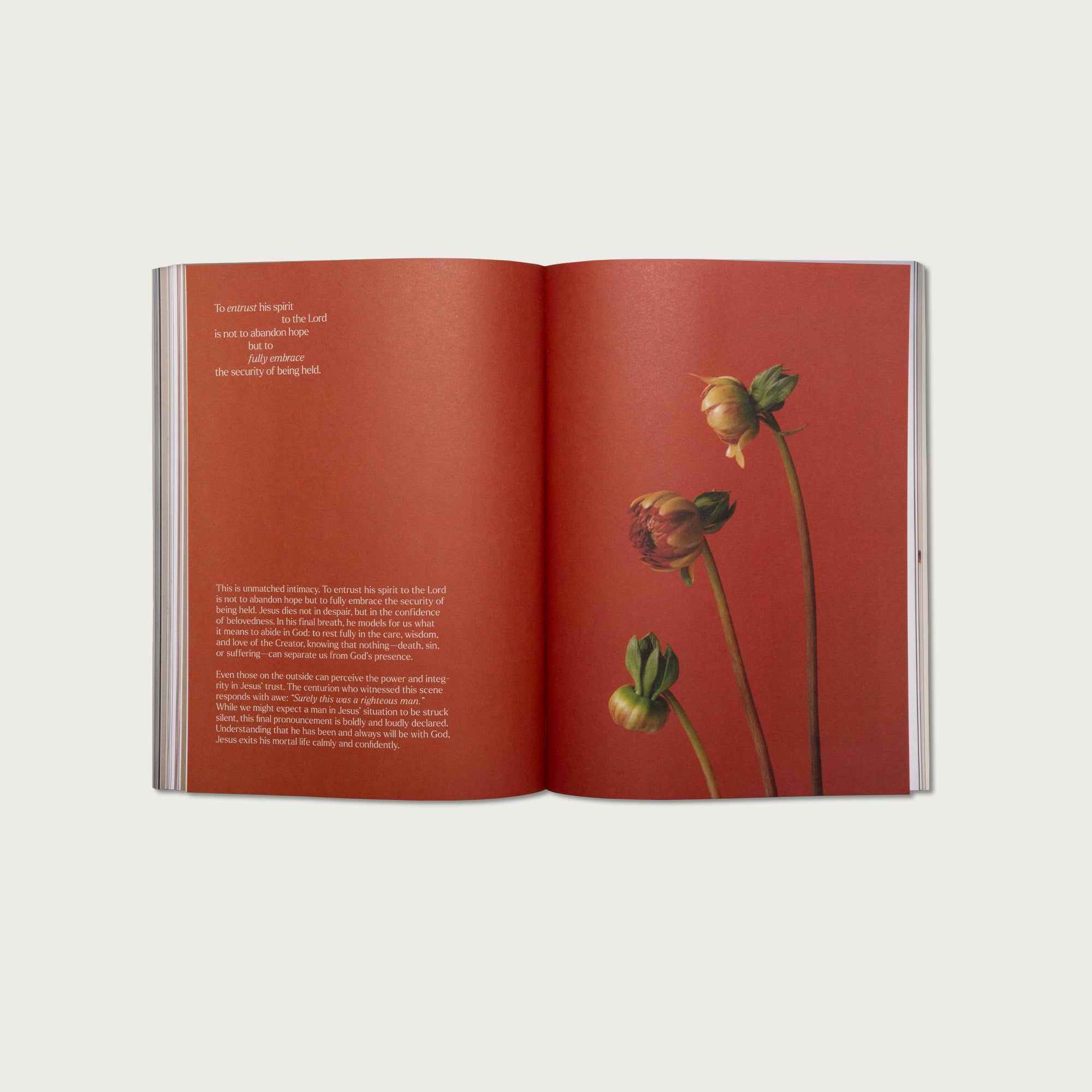 Bible Study and Devotional Pairing