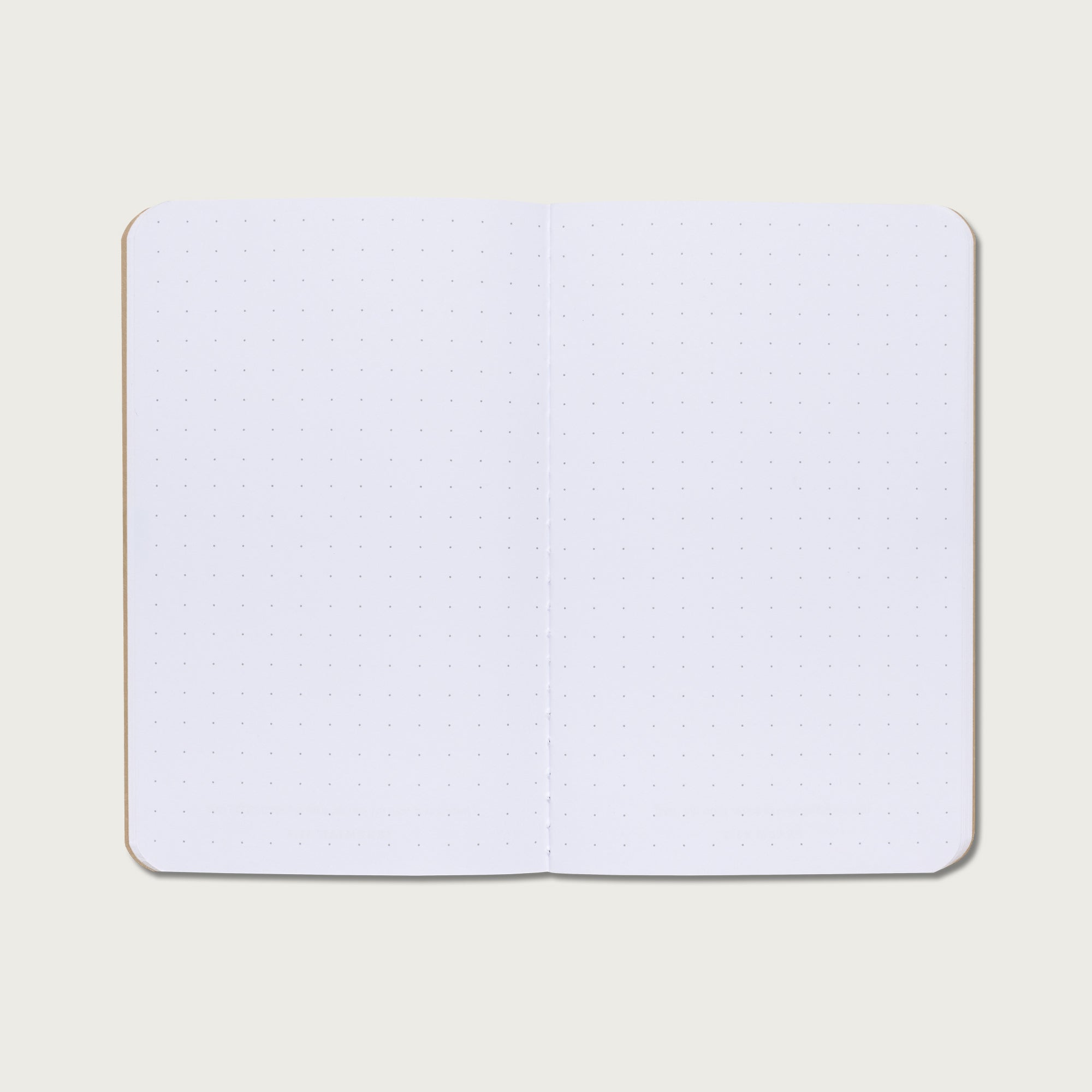 A Beautiful Year with Jesus Essentials Collection