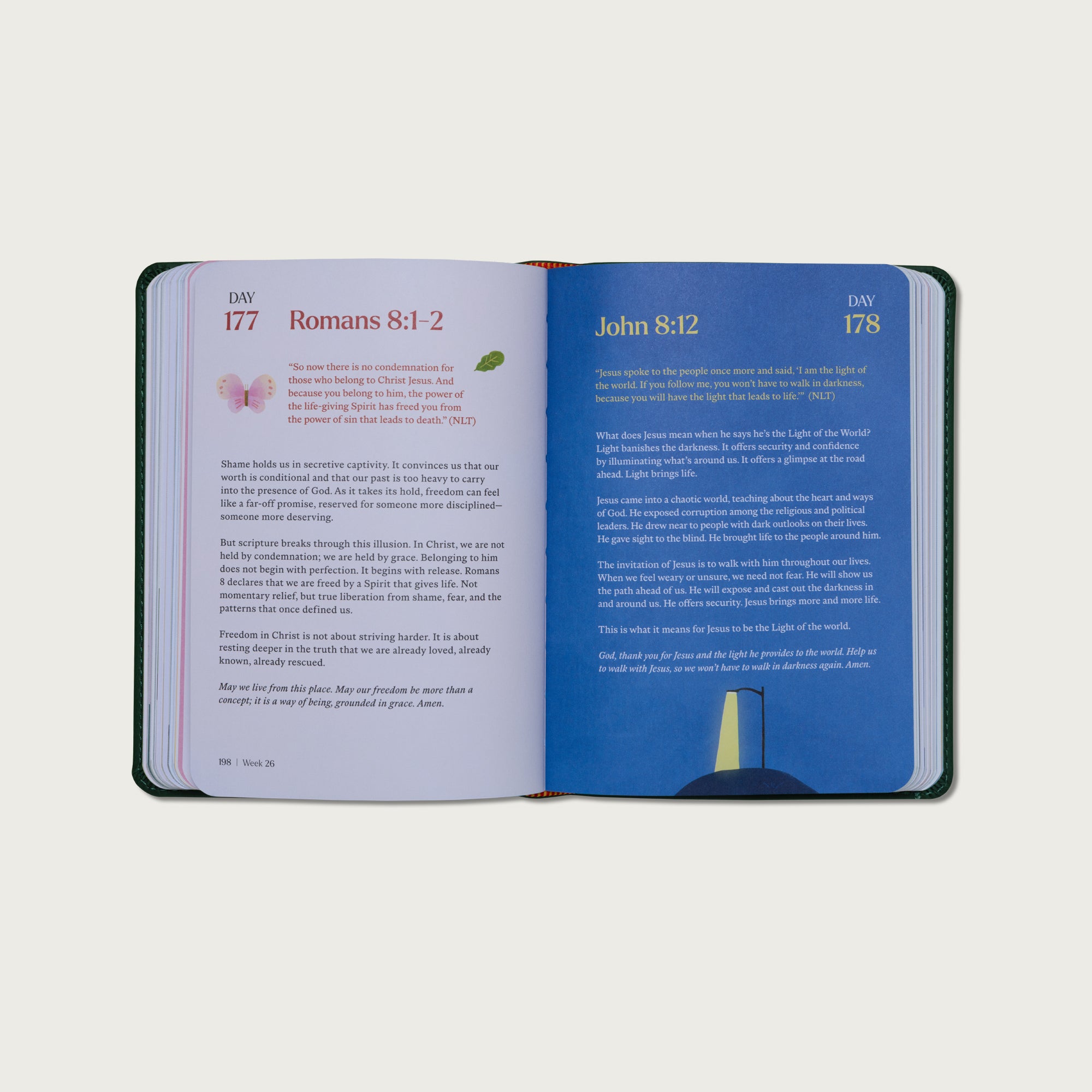 A Beautiful Year with Jesus: The 365 Day Bible Devotional