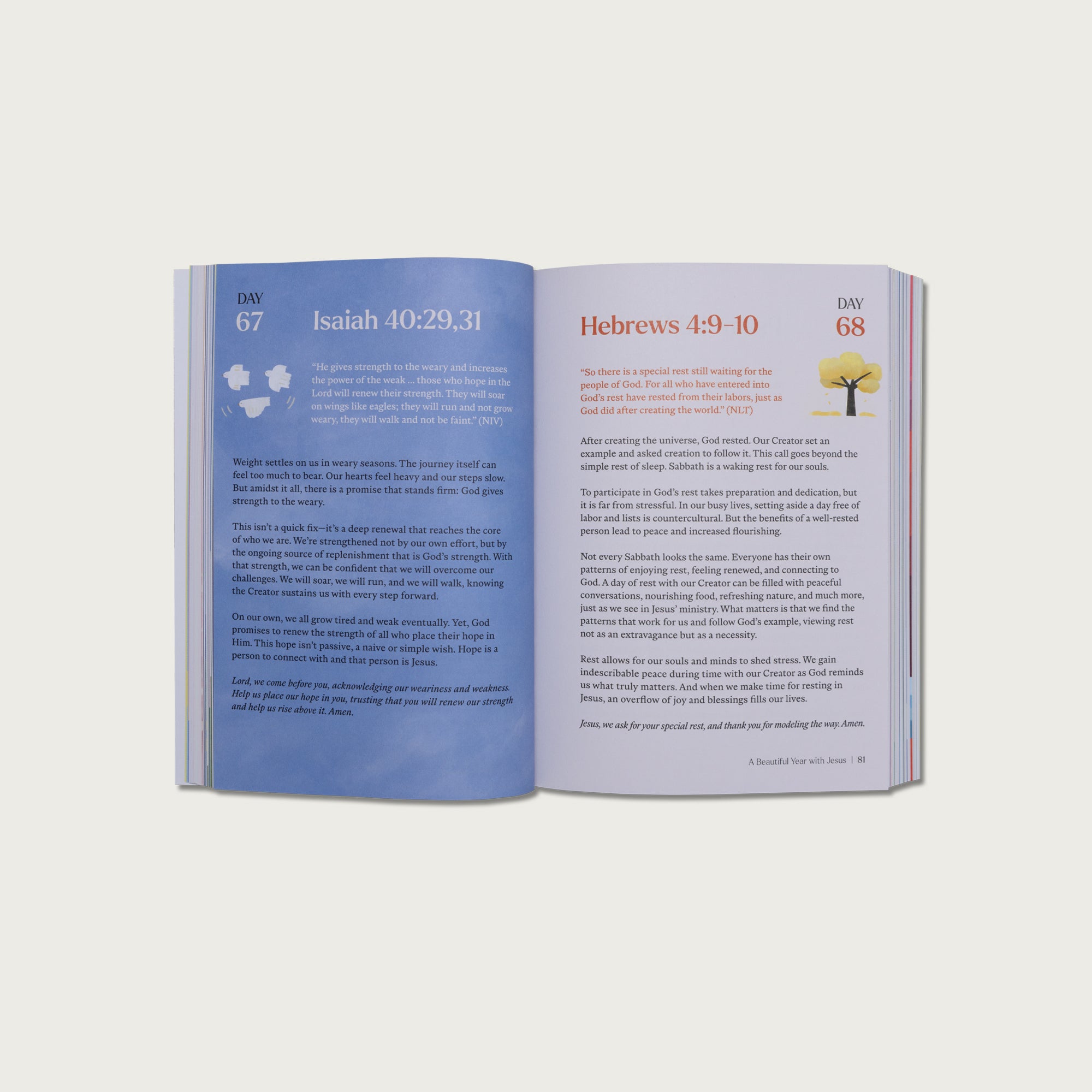 A Beautiful Year with Jesus: The 365 Day Bible Devotional