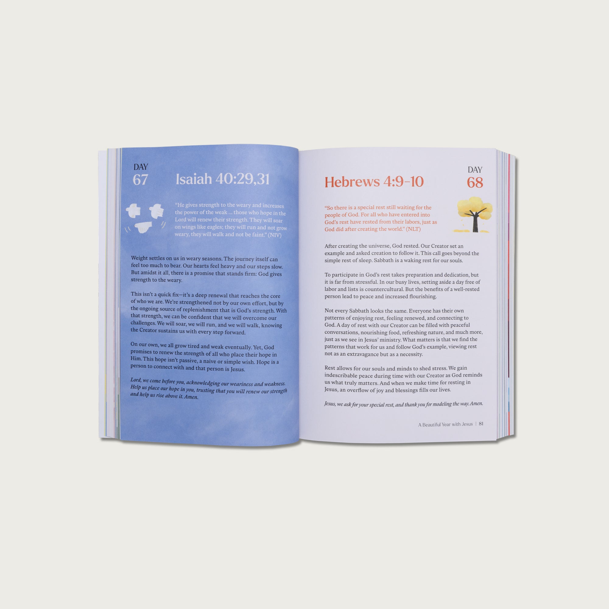 A Beautiful Year with Jesus: The 365 Day Bible Devotional