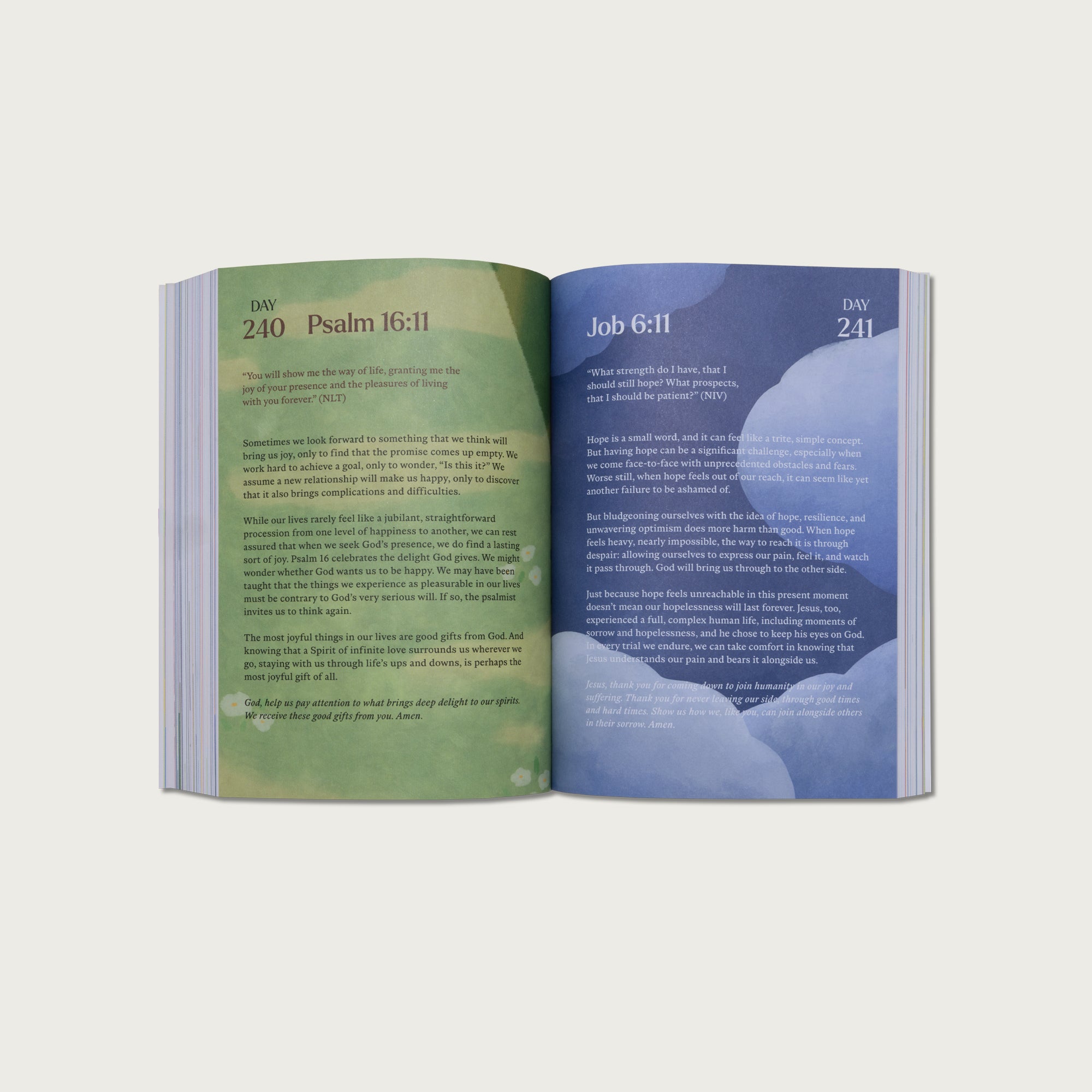 A Beautiful Year with Jesus: The 365 Day Bible Devotional