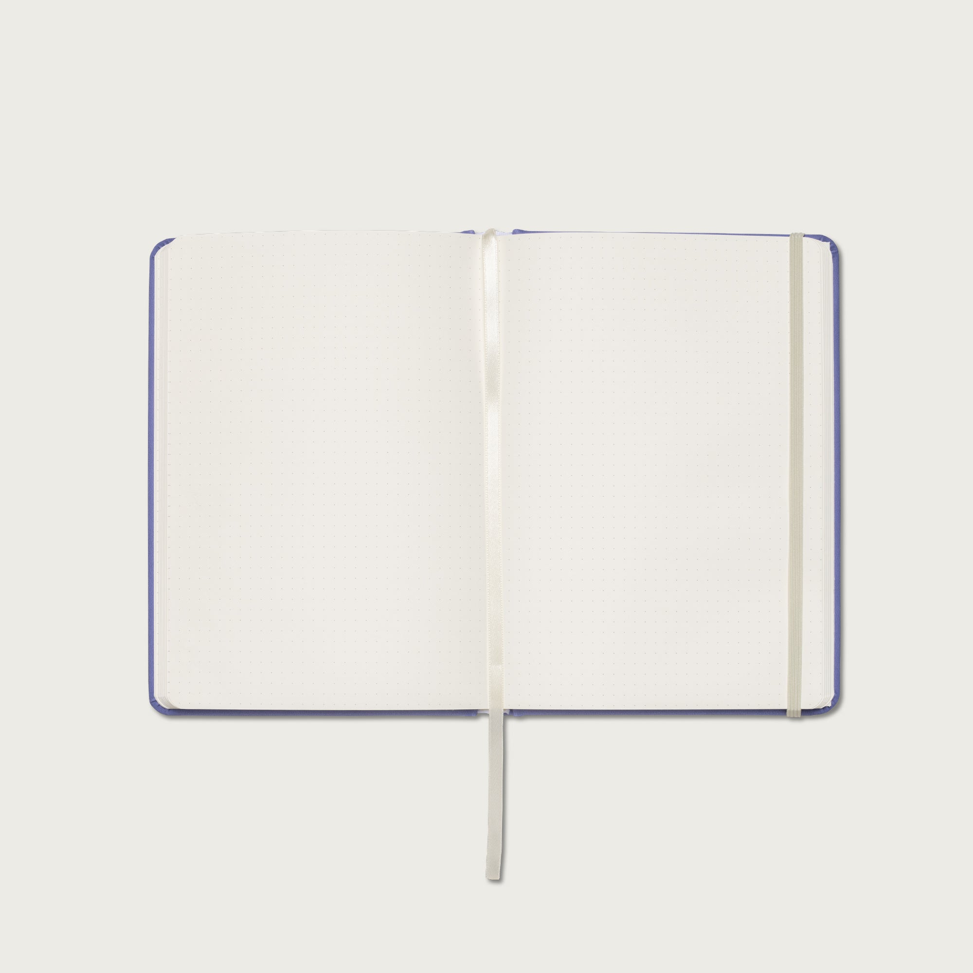 A Beautiful Year Study Set