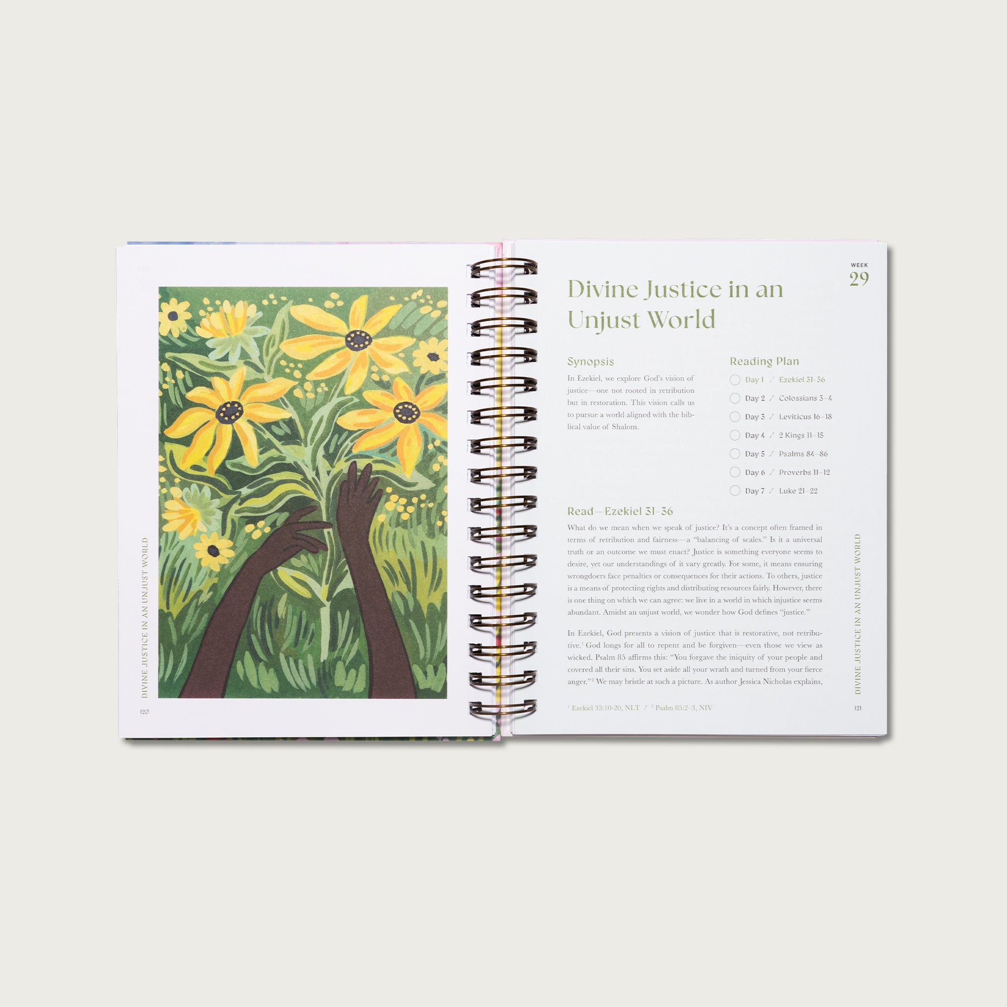 A Beautiful Year in the Bible: The 52-Week Bible Study for Women