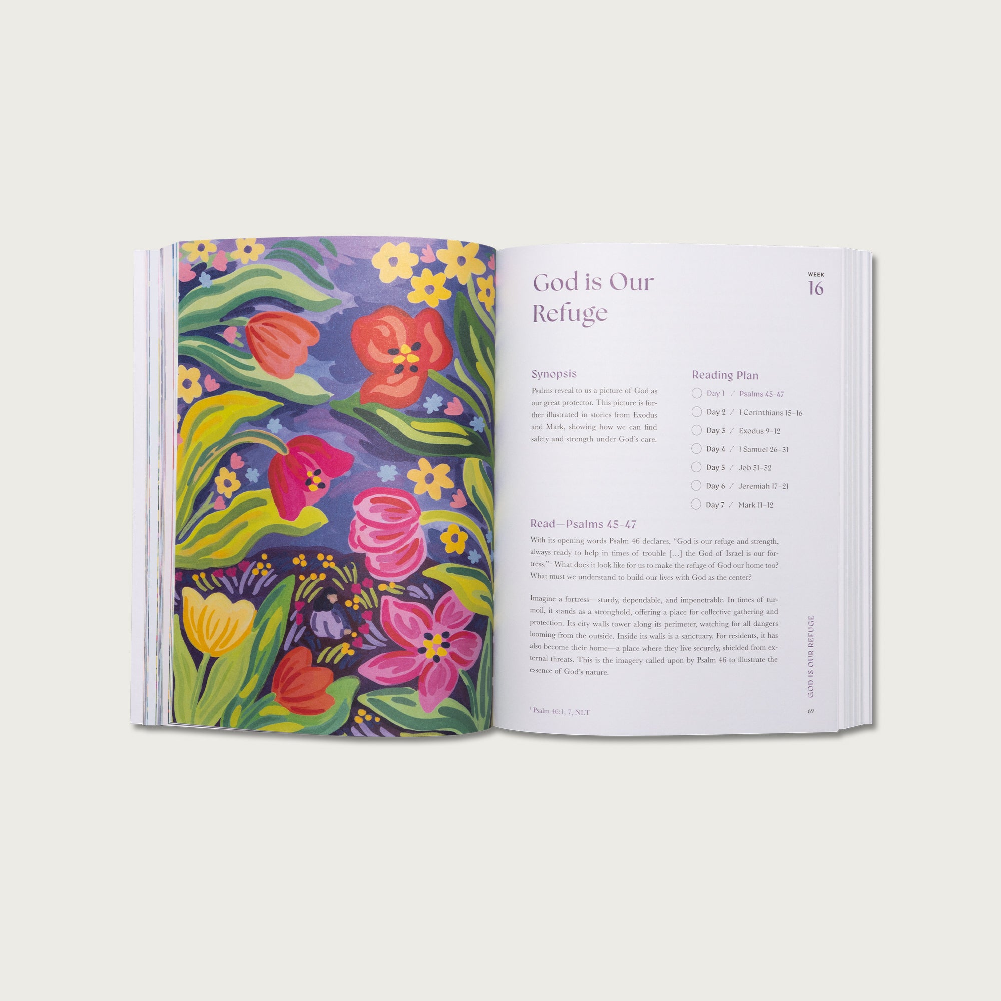 A Beautiful Year in the Bible: The 52-Week Bible Study for Women