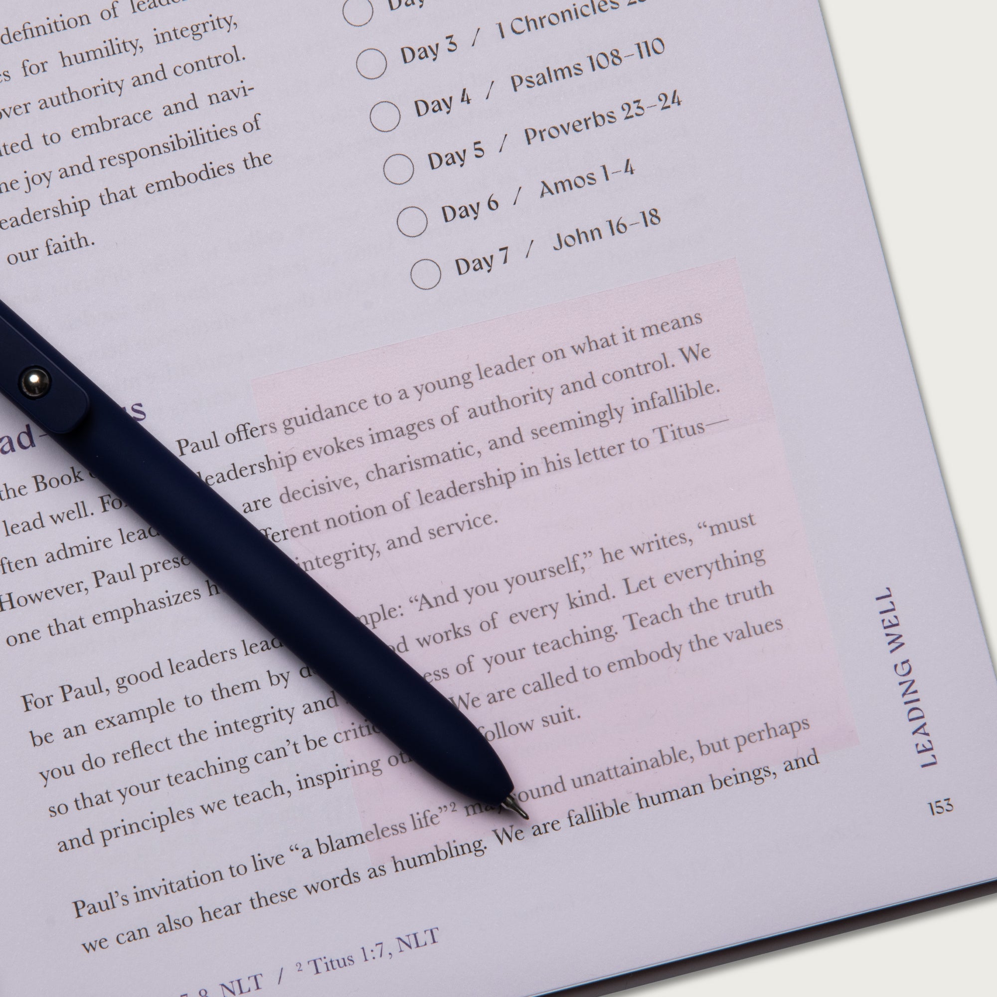 The Beautiful Year Transparent Sticky Notes