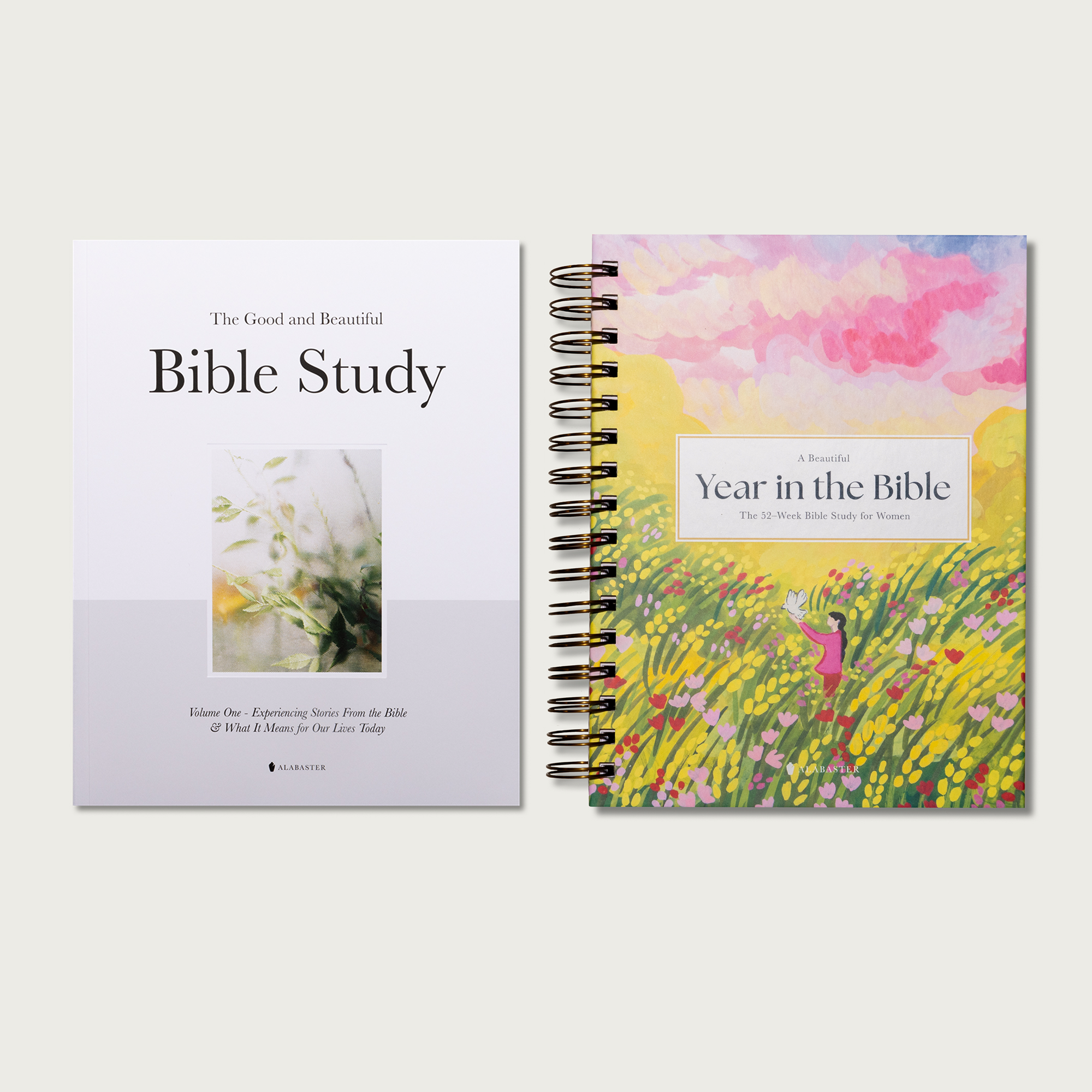 A Beautiful Year in the Bible: The 52-Week Bible Study for Women