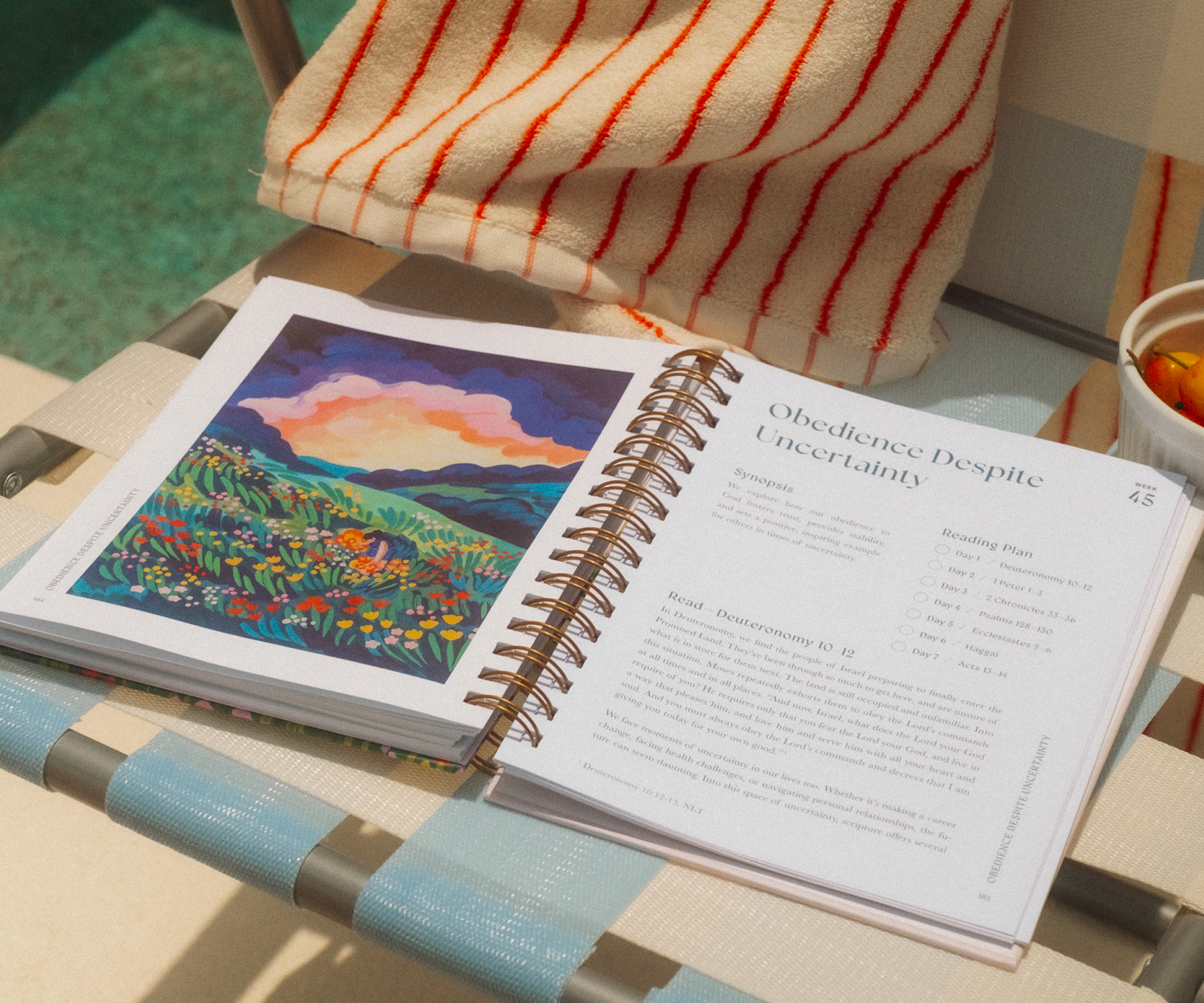 A Beautiful Year in the Bible: The 52-Week Bible Study for Women