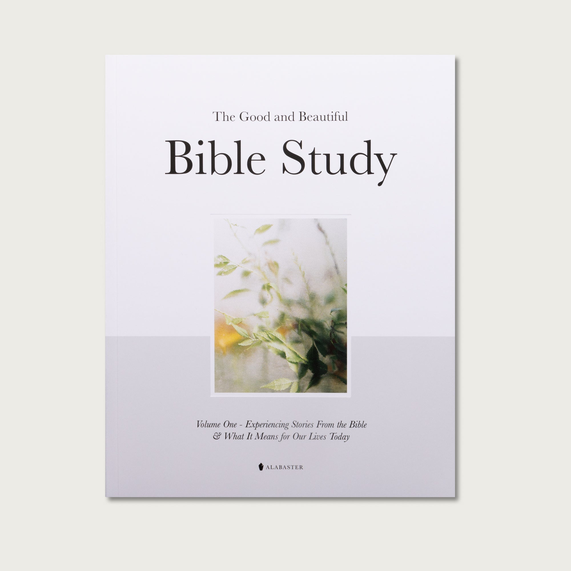 The Good and Beautiful Bible Study - Volume 1
