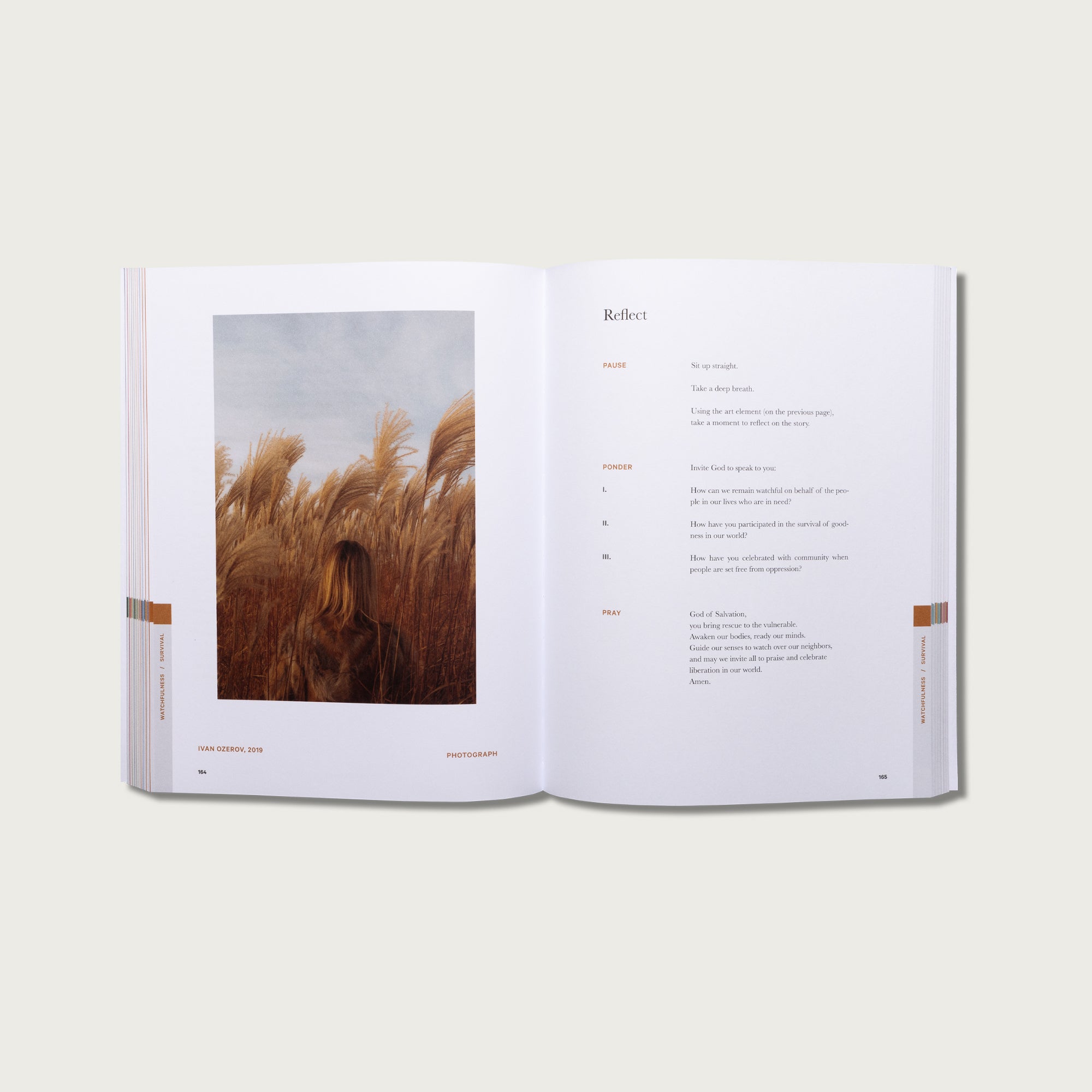 The Study Bundle