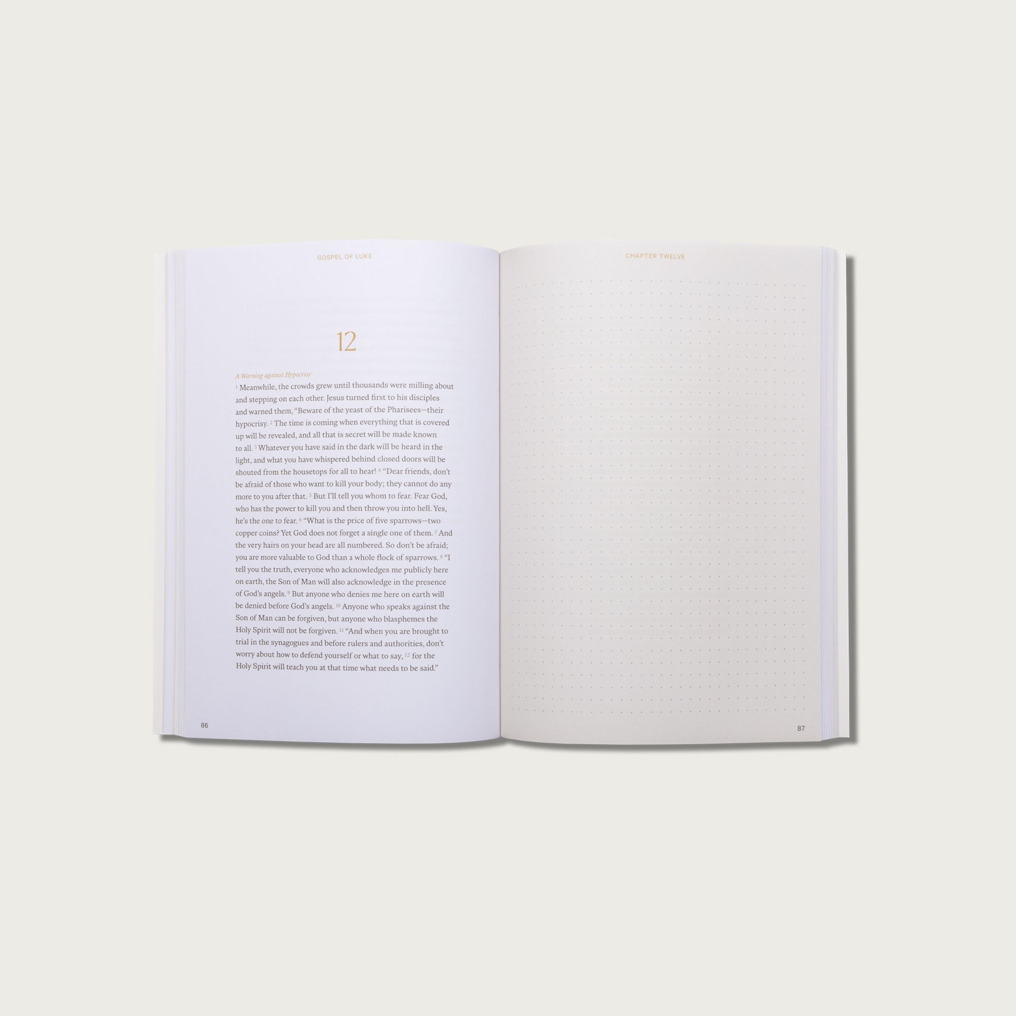 The Gospels: Journal Bibles