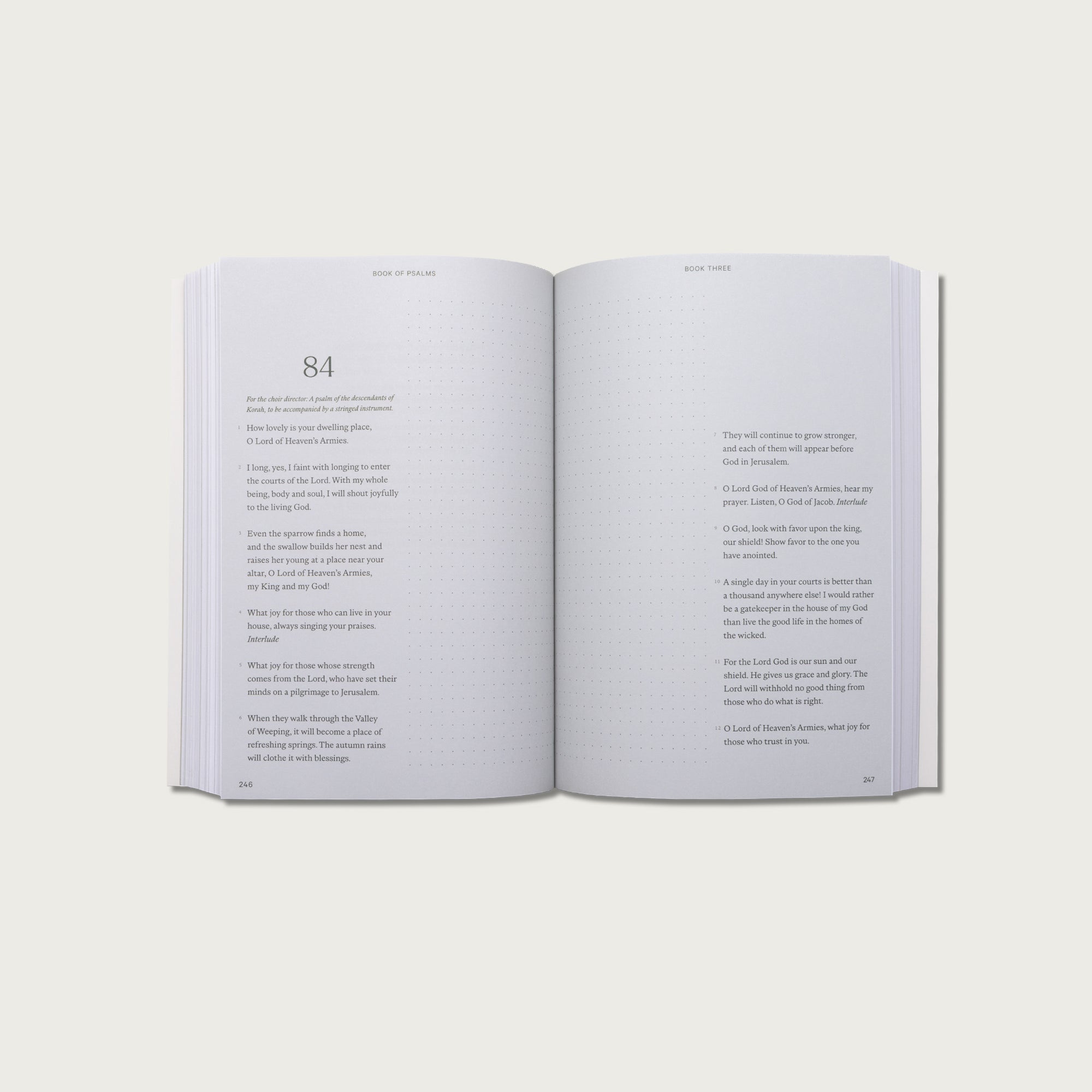 Wisdom Pairing: Journal Bibles