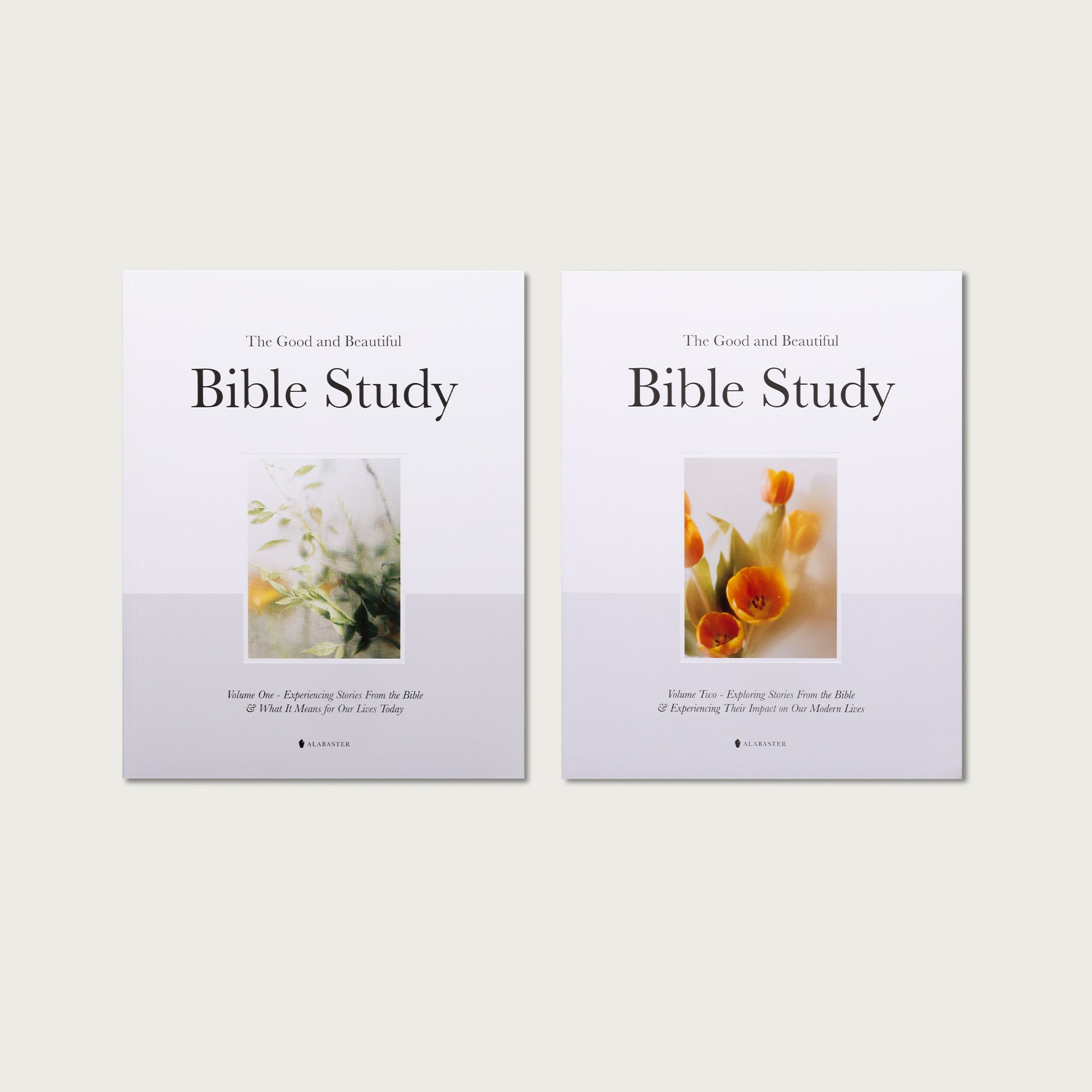 The Good and Beautiful Bible Studies - Bundle