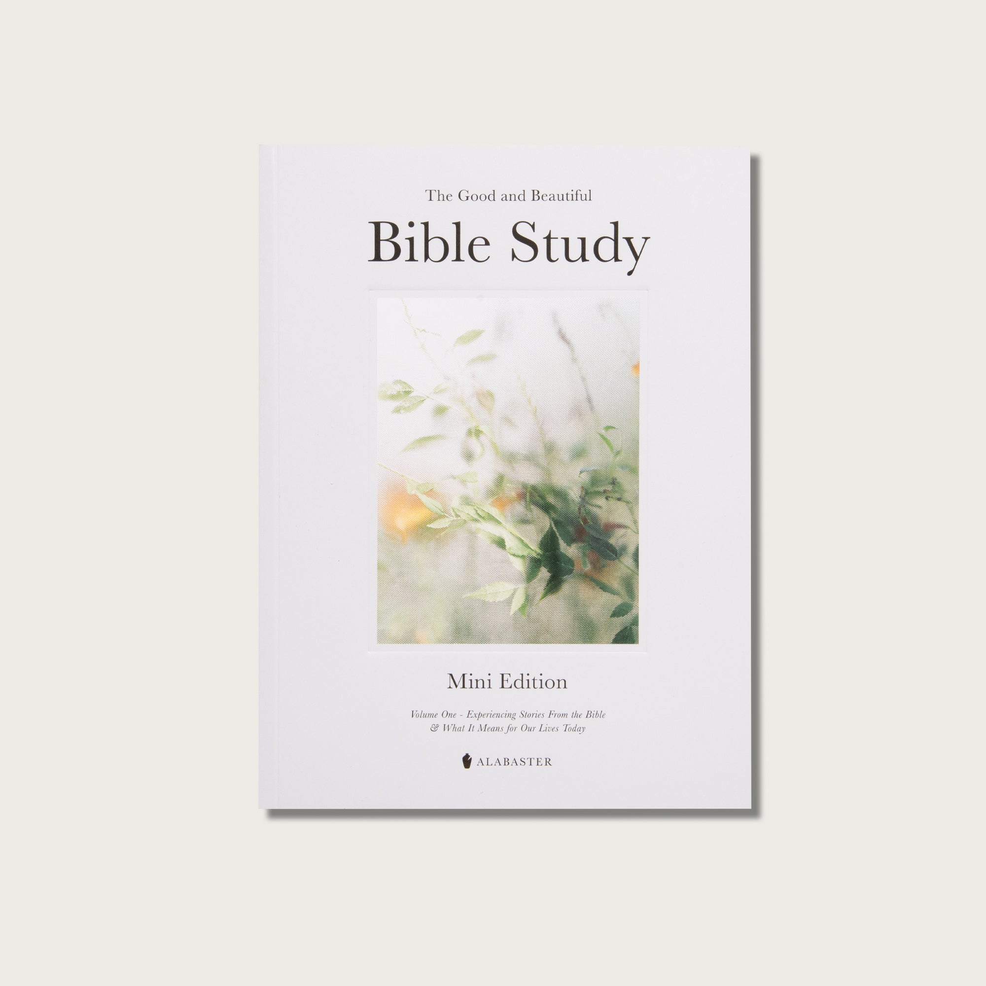 The Good and Beautiful Bible Study - Volume 1