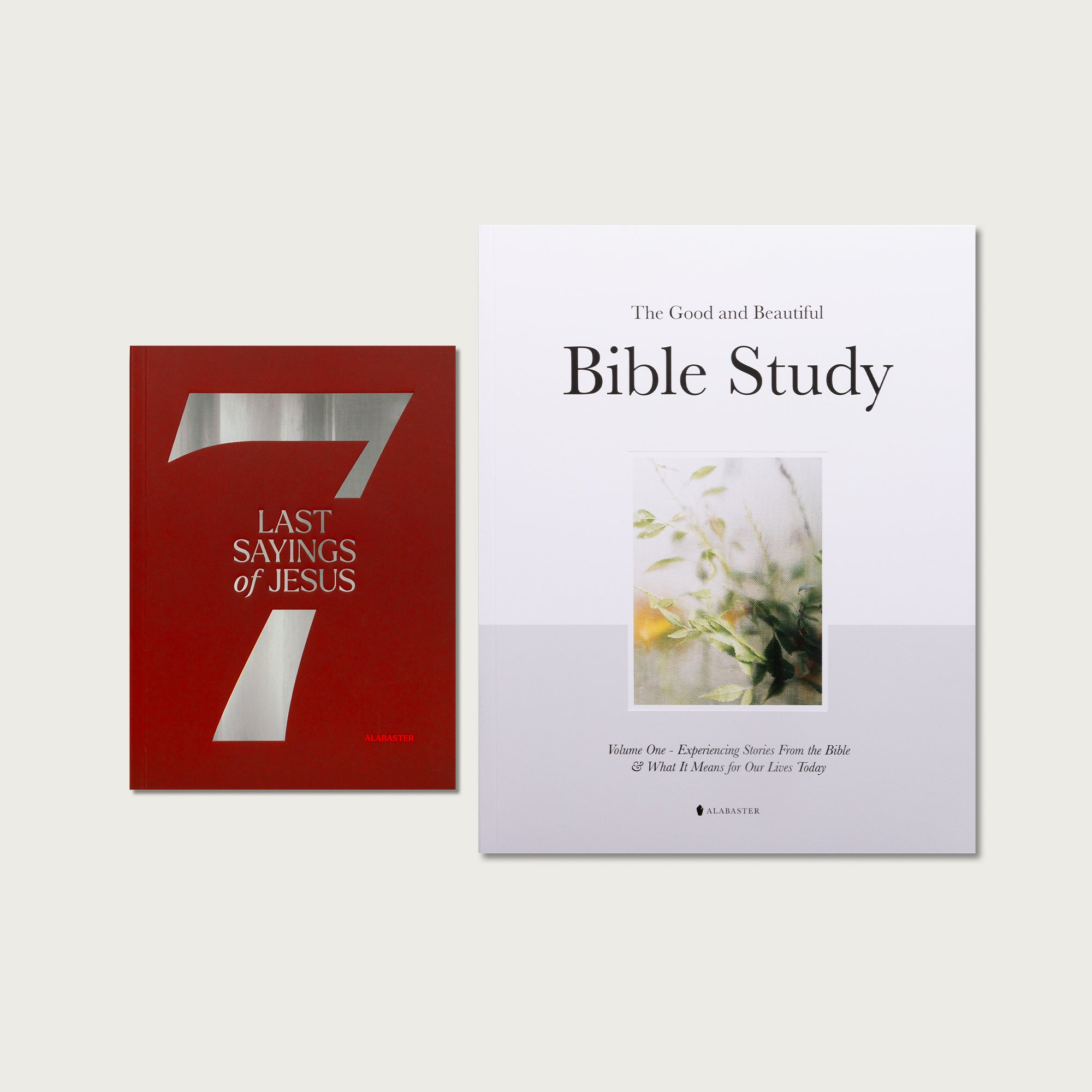Bible Study and Devotional Pairing