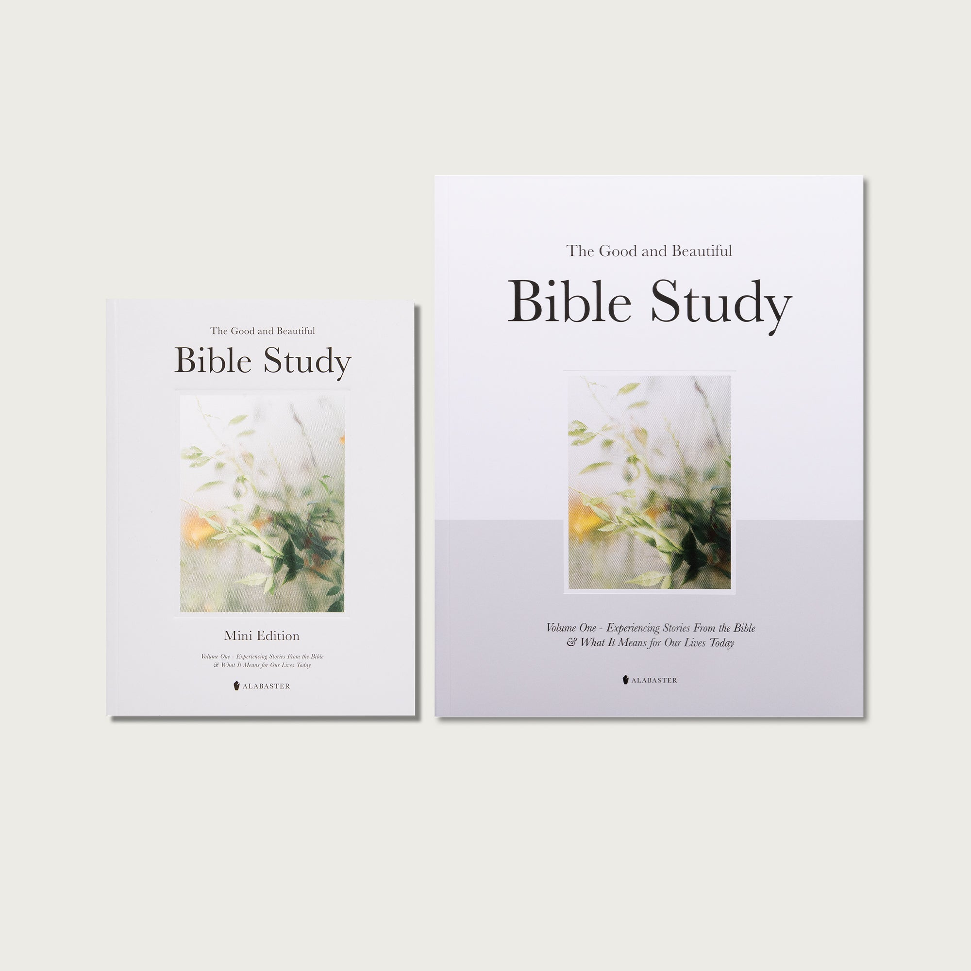 The Good and Beautiful Bible Study - Volume 1