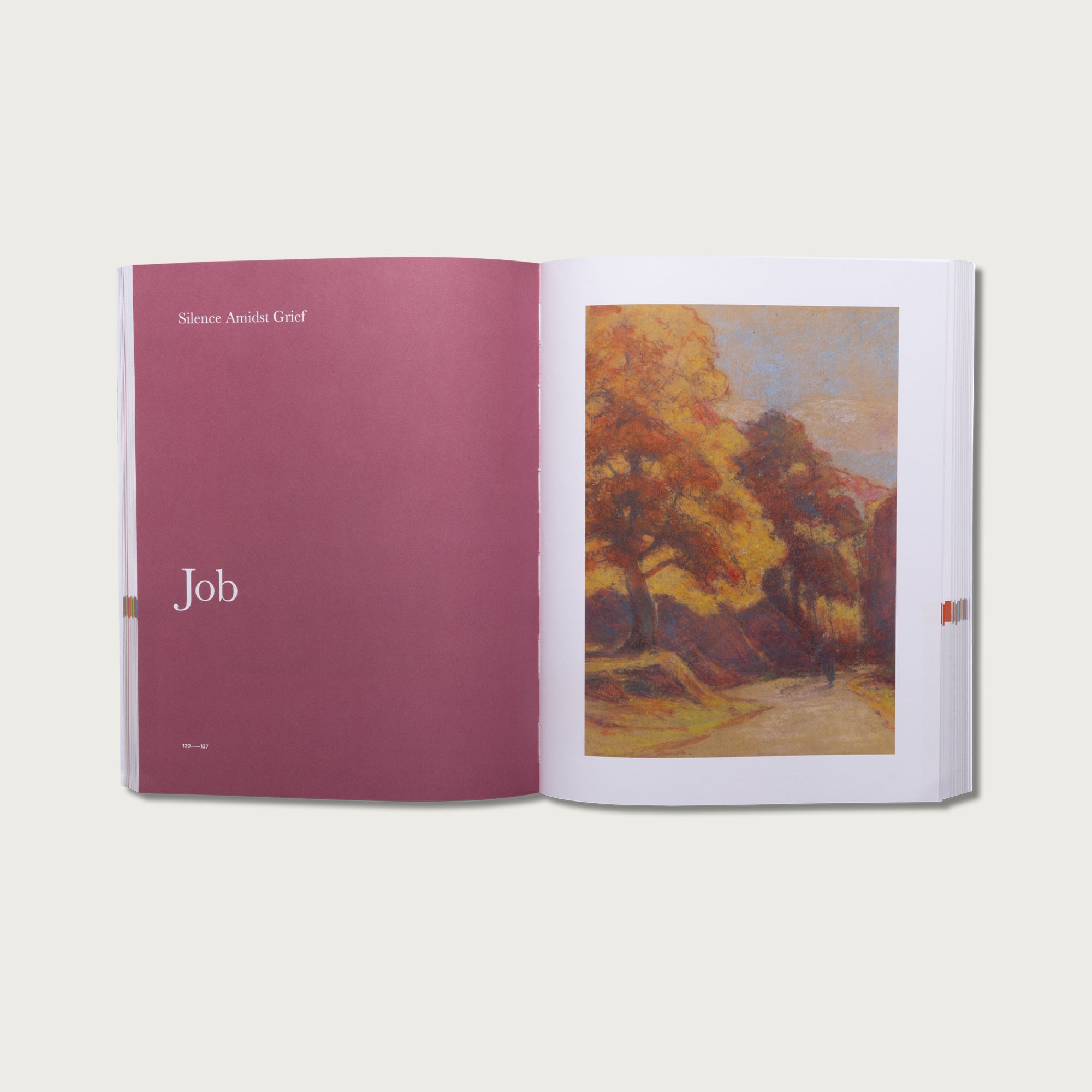 The Study Bundle