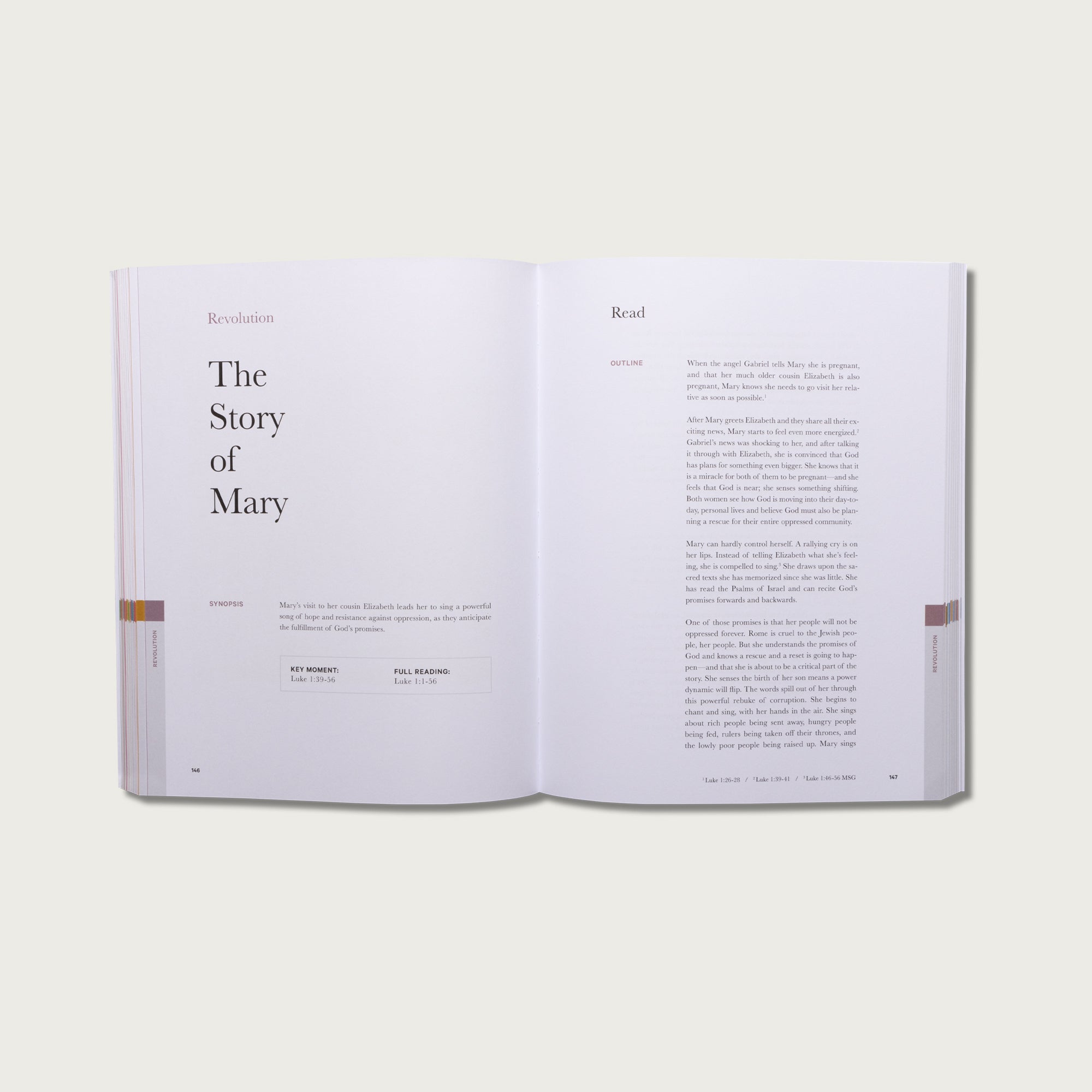 The Study Bundle