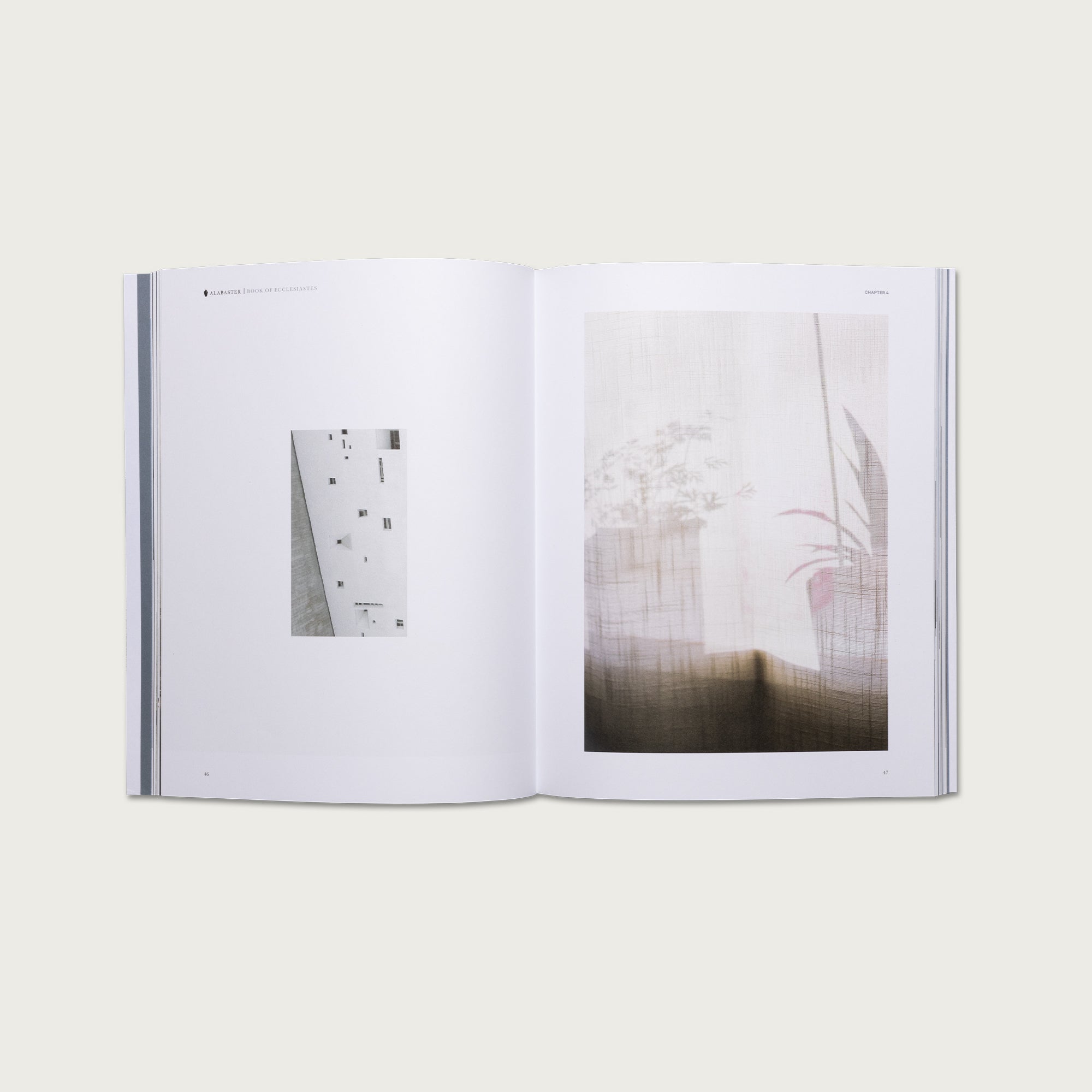 The Book of Ecclesiastes