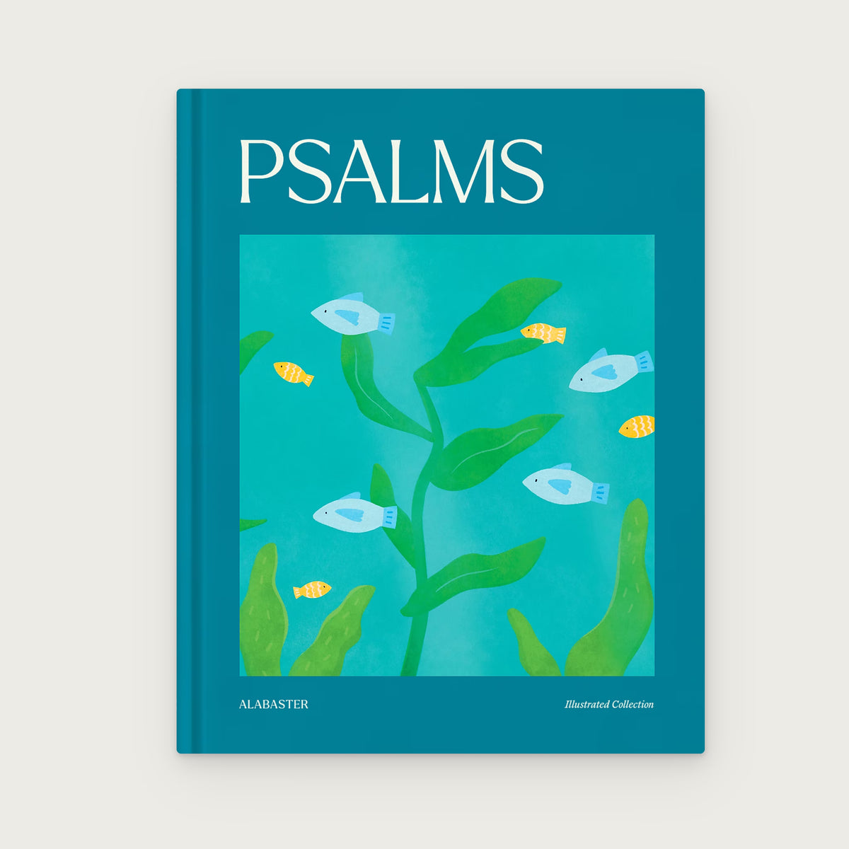 Psalms Illustrated Bible