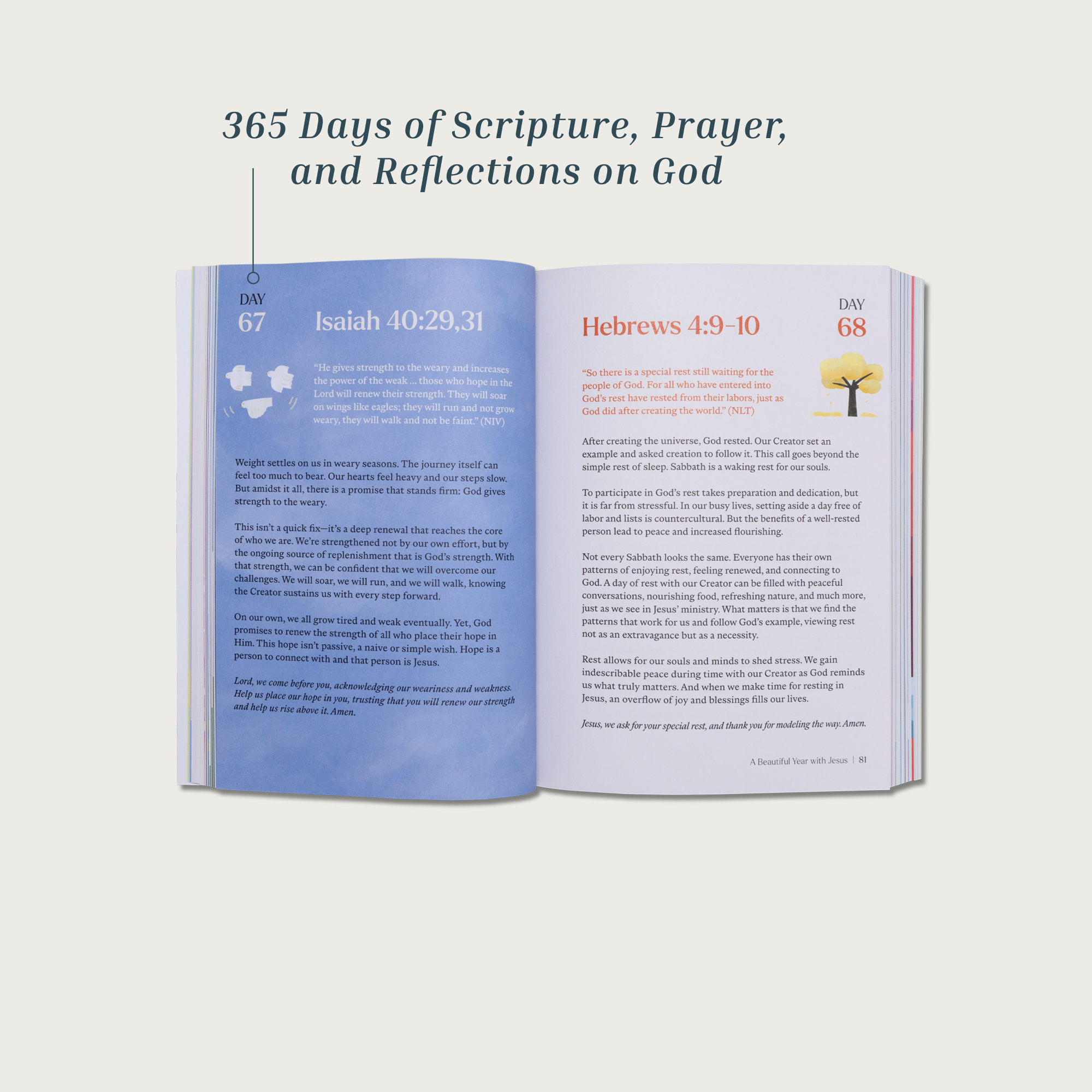 A Beautiful Year with Jesus: The 365 Day Bible Devotional