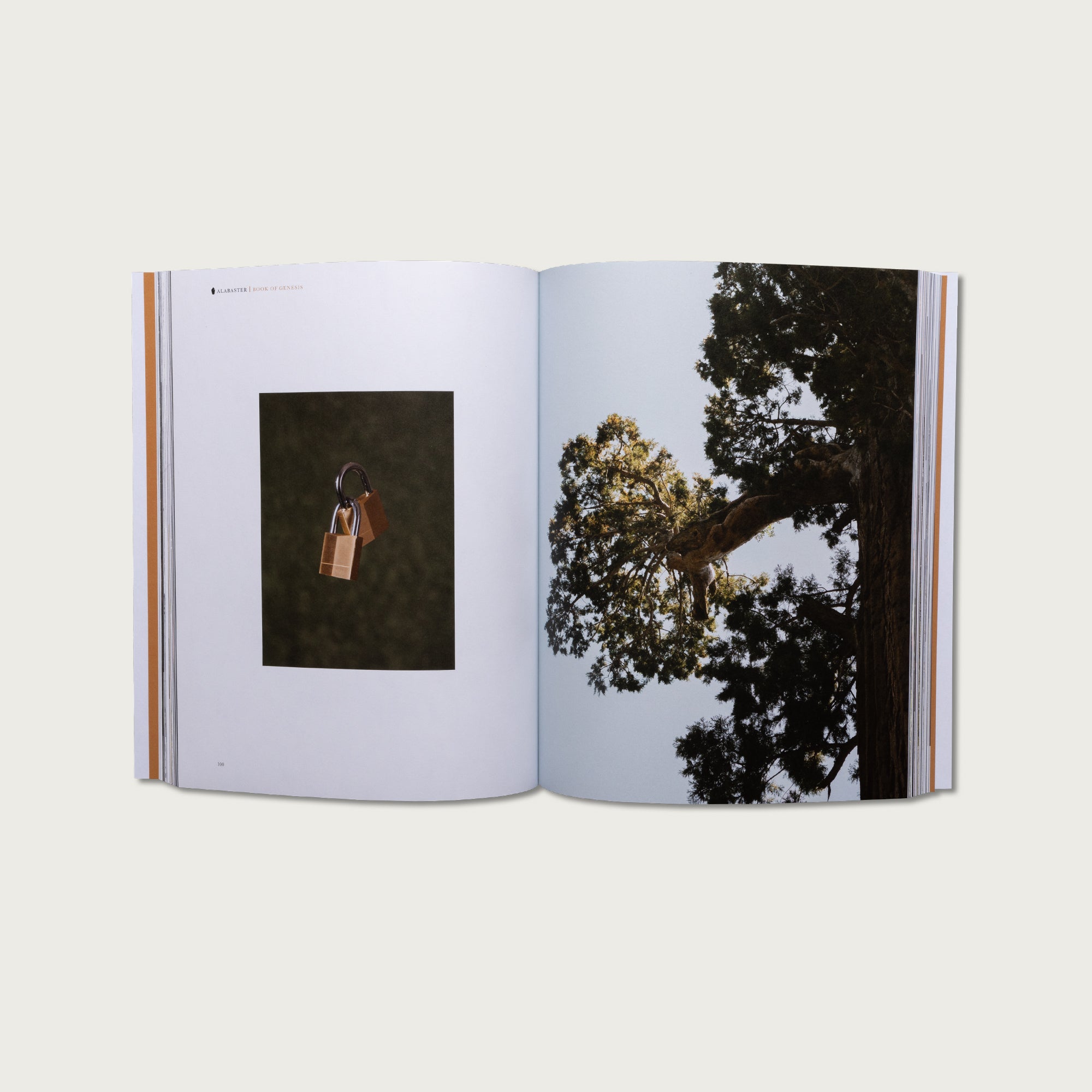 The Complete Bible Collection