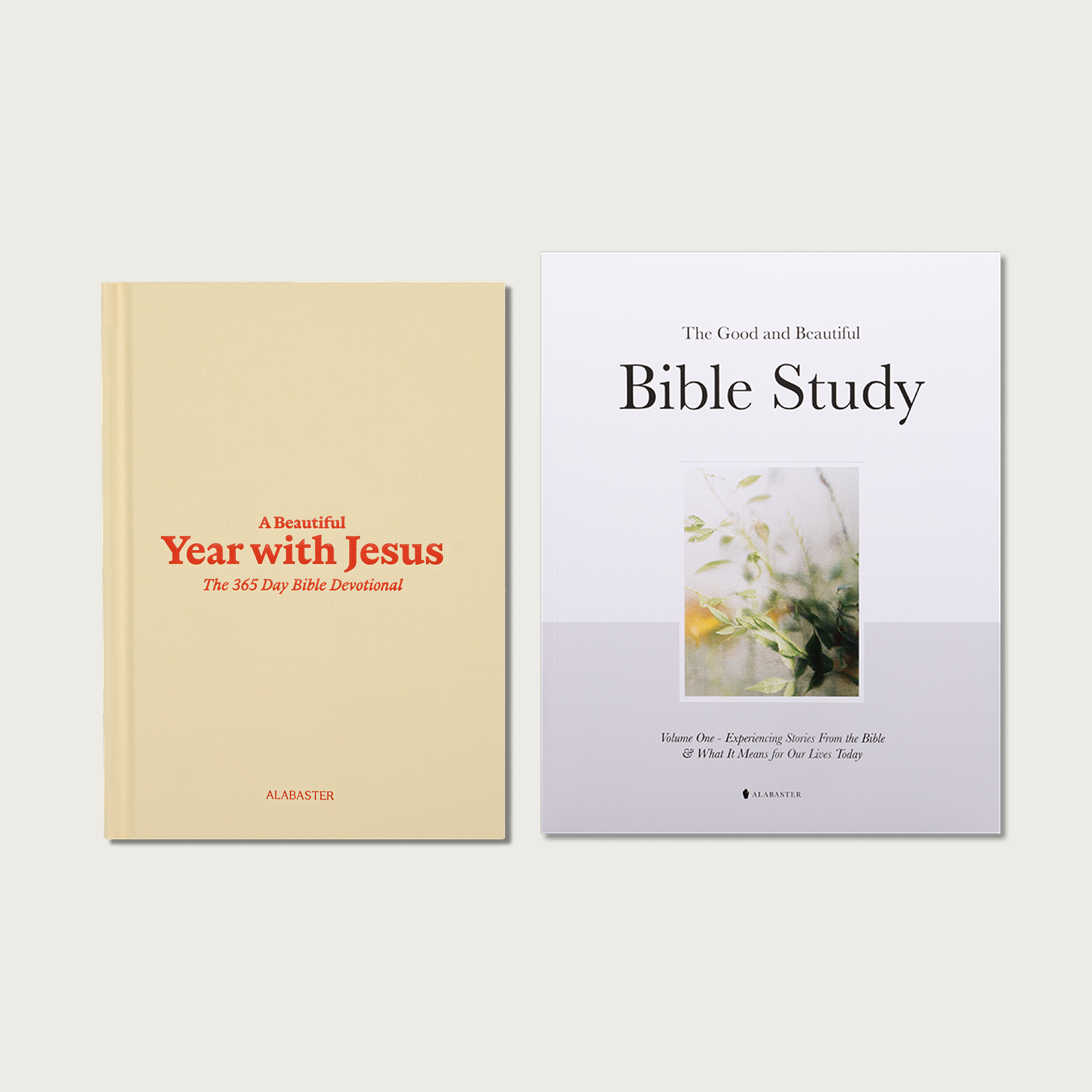 A Beautiful Year with Jesus: The 365 Day Bible Devotional