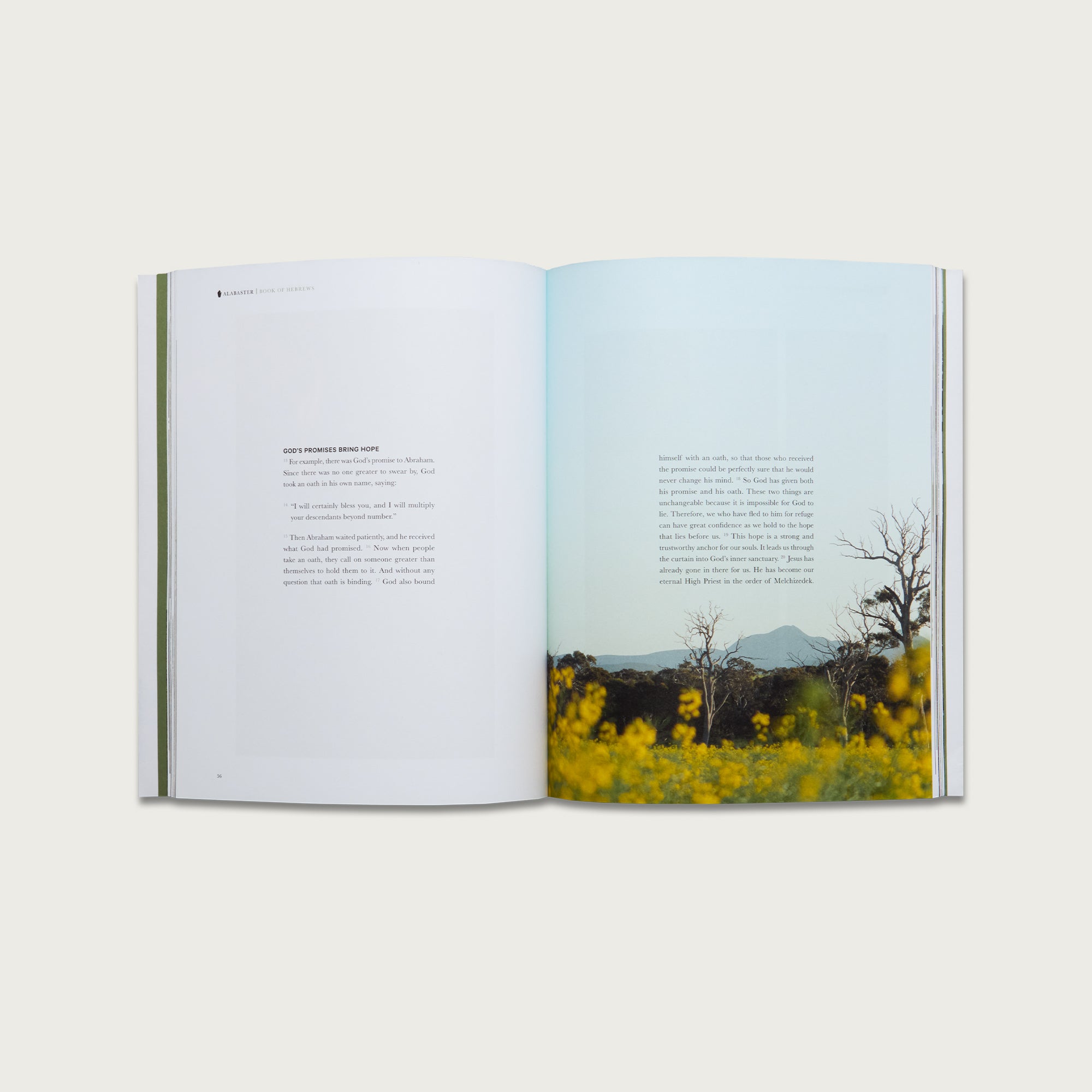 The Book of Hebrews