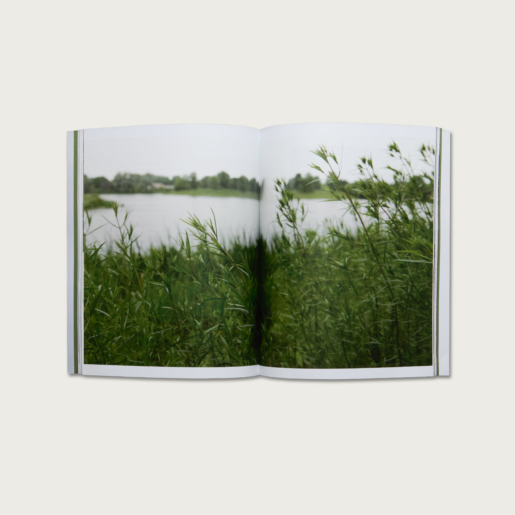 The Book of Hebrews