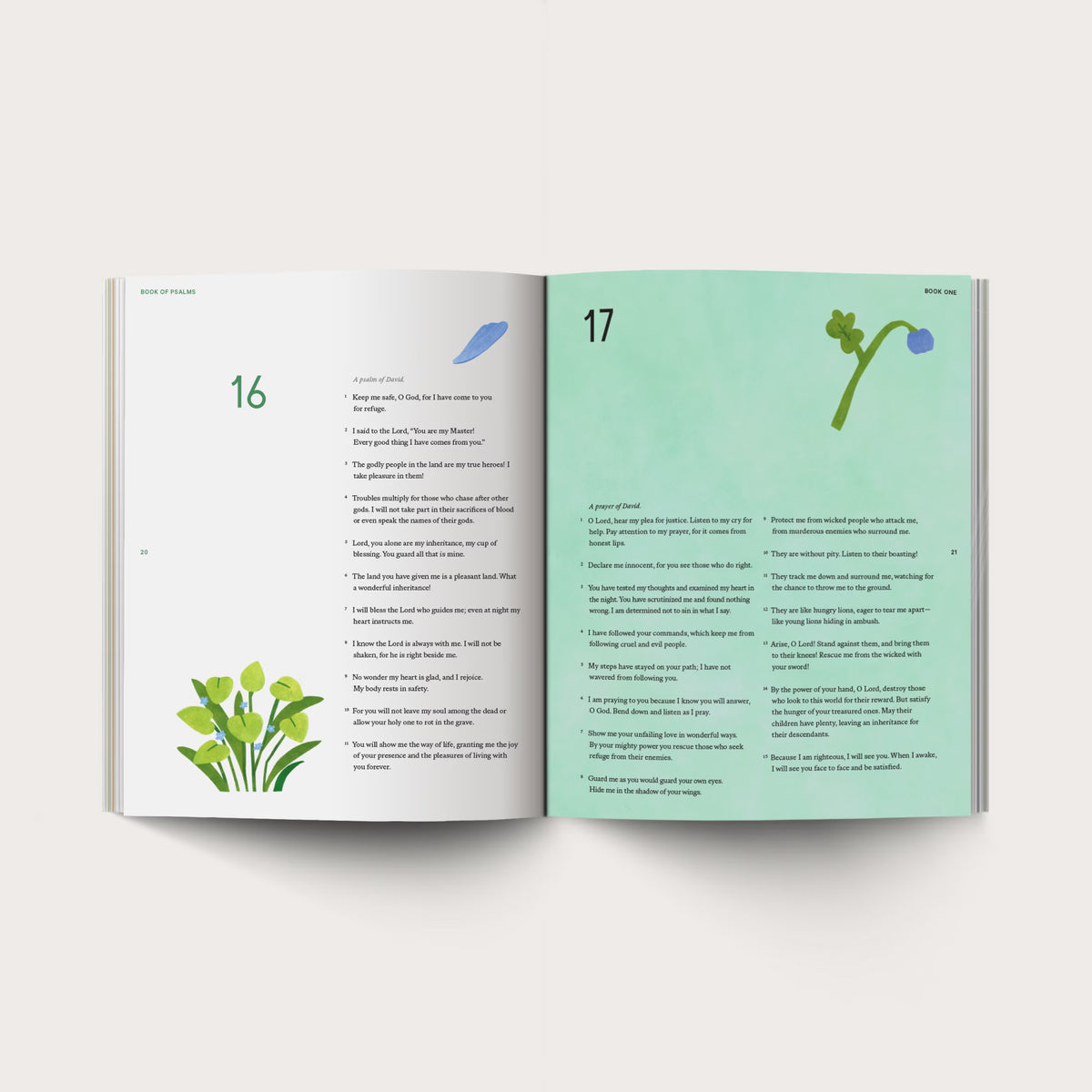 Psalms Illustrated Bible