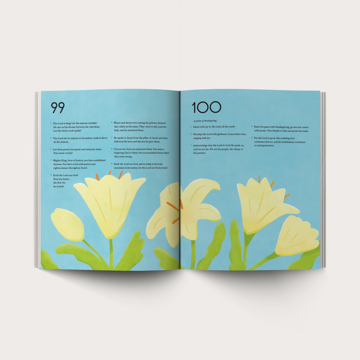 Psalms Illustrated Bible