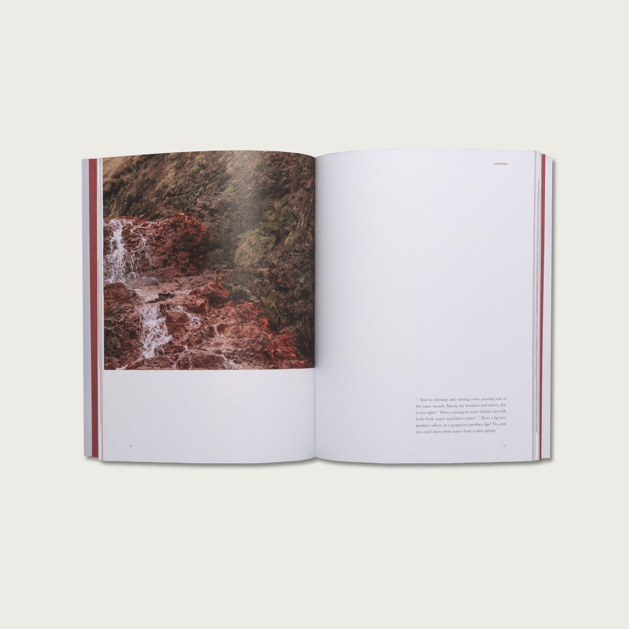 The Book of James