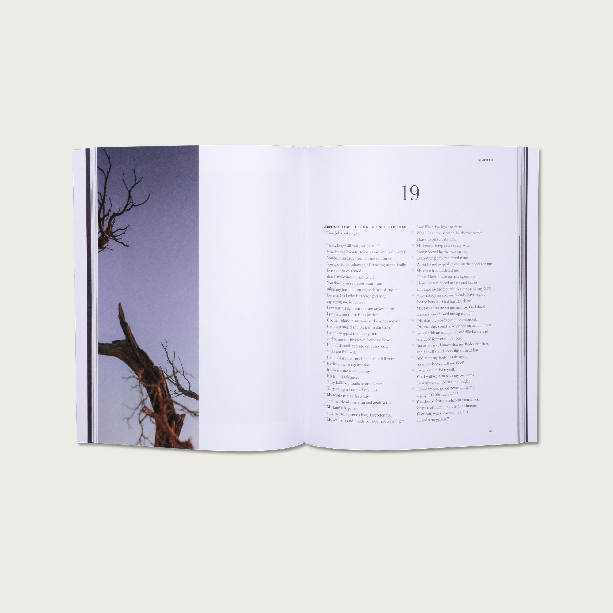 The Book of Job