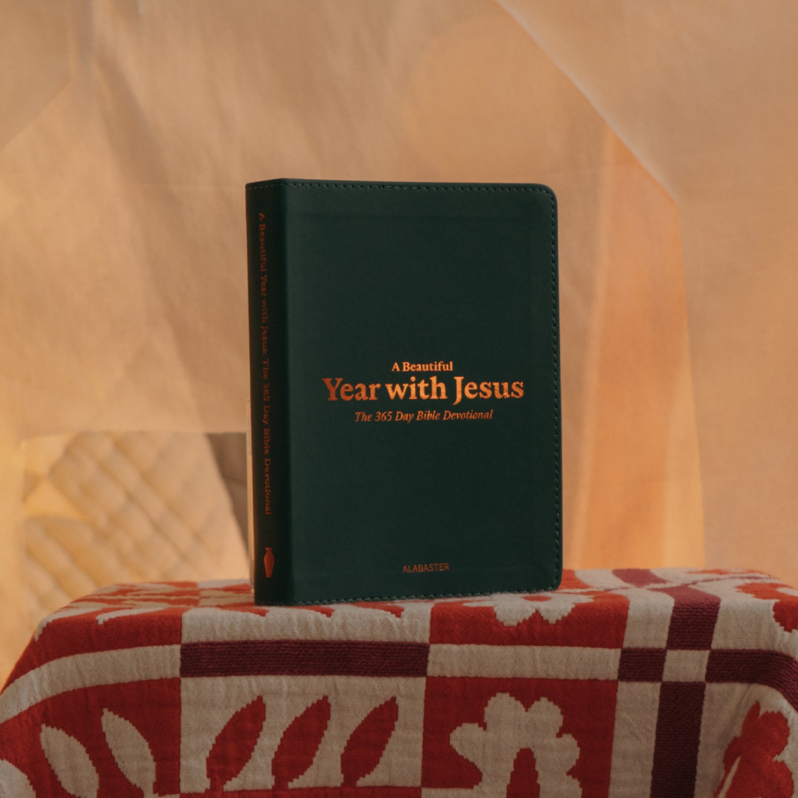 A Beautiful Year with Jesus: The 365 Day Bible Devotional