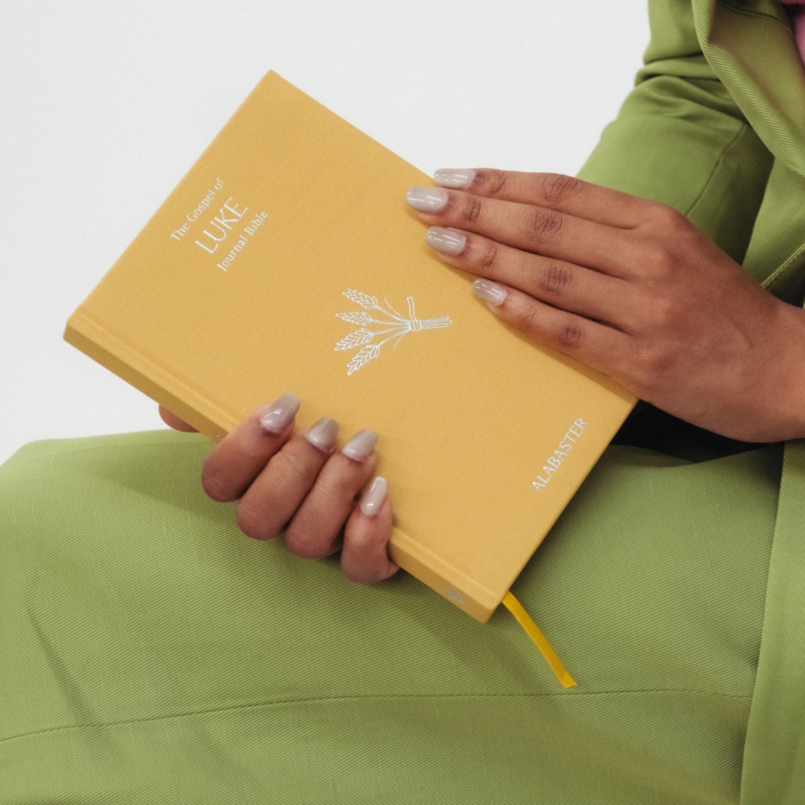 The Gospel of Luke Journal Bible
