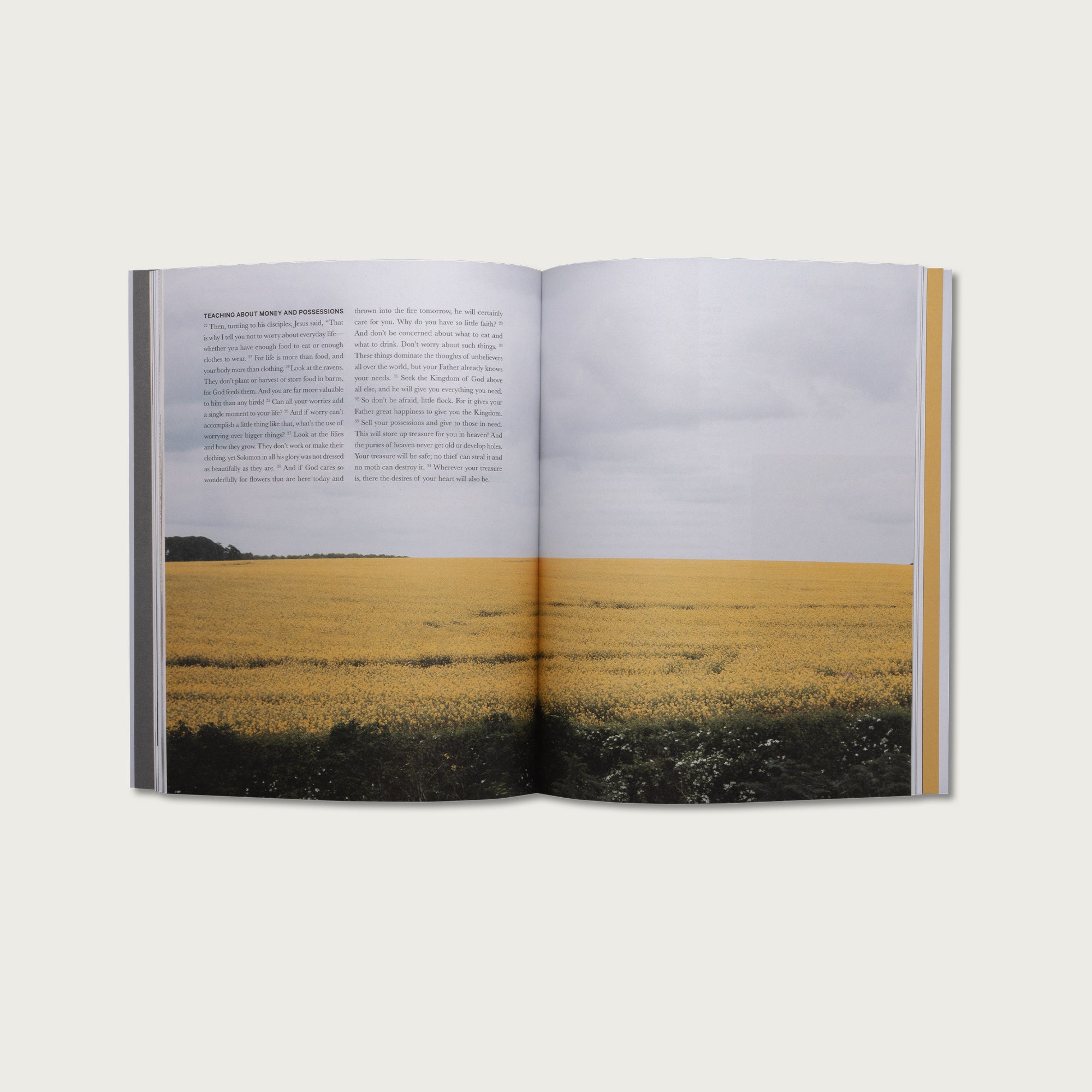 The Gospel of Luke
